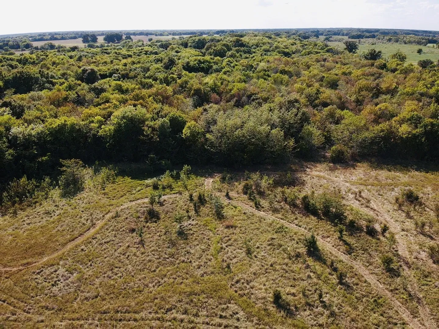 Ranch For Sale in Lamar County , 000 FM 196, Pattonville, Texas 75468, 0, 0, Garage spaces, 0 Sqft, built in 0, mls#21376017, Real Estate Agent in Pattonville, Homes For Sale in Lamar county, Homes For Sale in Pattonville, Realtor in Pattonville Texas, Real Estate Brokerage Independent Realty Texas, Luminita Cordes Realtor