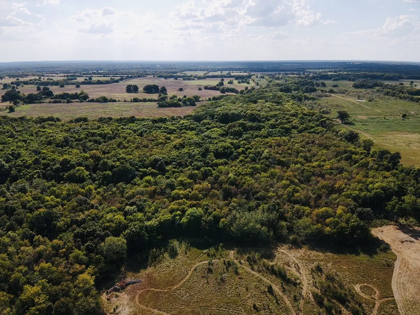 Ranch For Sale in Lamar County , 000 FM 196, Pattonville, Texas 75468, 0, 0, Garage spaces, 0 Sqft, built in 0, mls#21376017, Real Estate Agent in Pattonville, Homes For Sale in Lamar county, Homes For Sale in Pattonville, Realtor in Pattonville Texas, Real Estate Brokerage Independent Realty Texas, Luminita Cordes Realtor