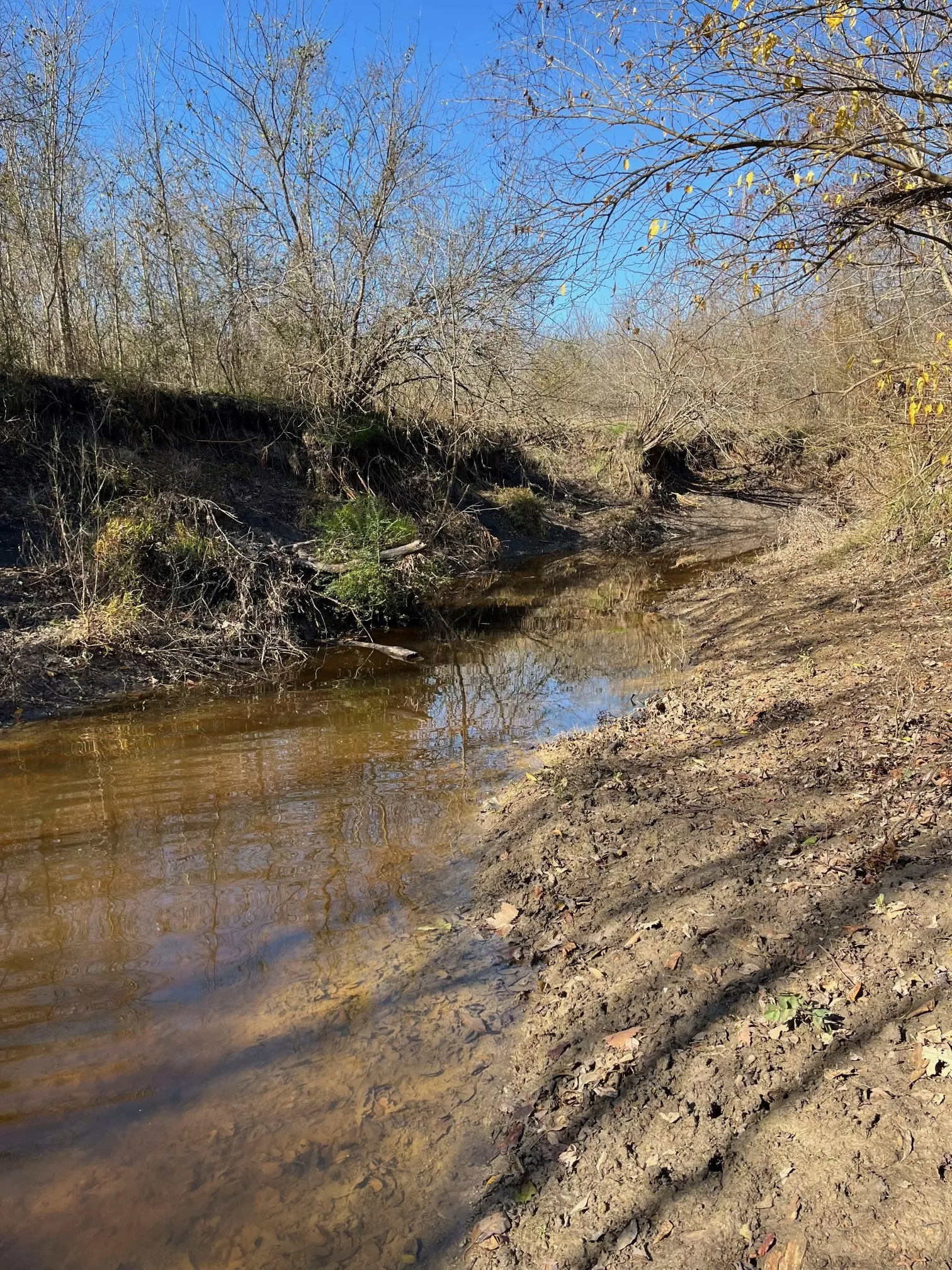 Ranch For Sale in Lamar County , 000 FM 196, Pattonville, Texas 75468, 0, 0, Garage spaces, 0 Sqft, built in 0, mls#21376017, Real Estate Agent in Pattonville, Homes For Sale in Lamar county, Homes For Sale in Pattonville, Realtor in Pattonville Texas, Real Estate Brokerage Independent Realty Texas, Luminita Cordes Realtor