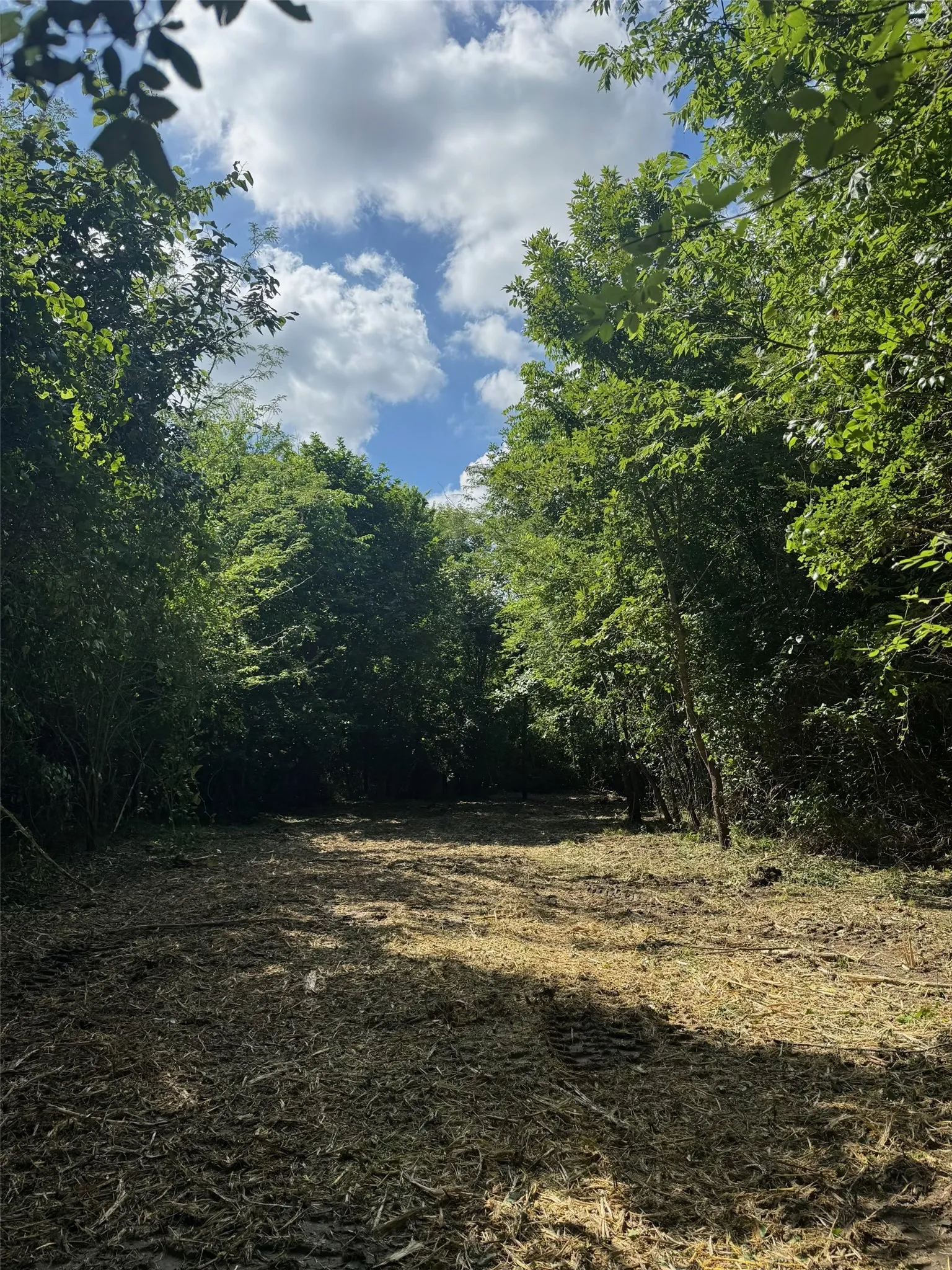 Ranch For Sale in Lamar County , 000 FM 196, Pattonville, Texas 75468, 0, 0, Garage spaces, 0 Sqft, built in 0, mls#21376017, Real Estate Agent in Pattonville, Homes For Sale in Lamar county, Homes For Sale in Pattonville, Realtor in Pattonville Texas, Real Estate Brokerage Independent Realty Texas, Luminita Cordes Realtor