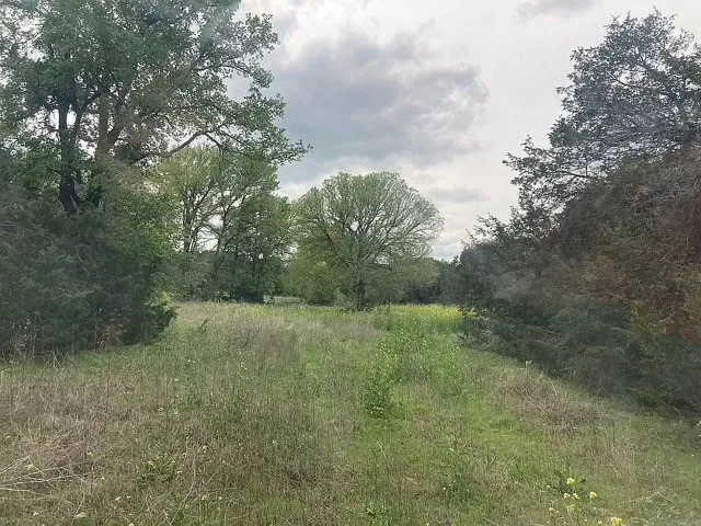 Expansive grassy field with scattered wildflowers, bordered by mature deciduous and evergreen trees