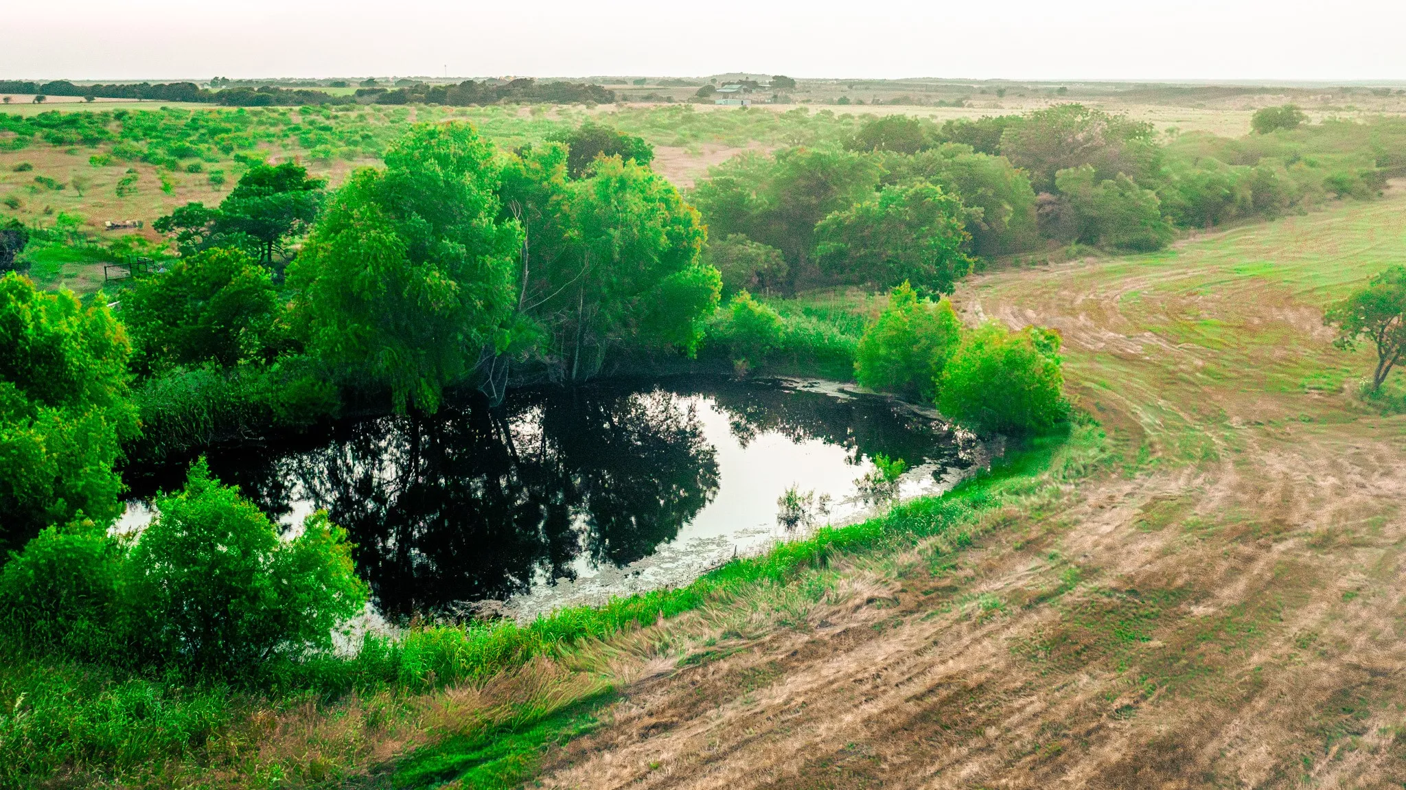 Unimproved Land For Sale in Ellis County , TBD Cartwright Road, Avalon, Texas 76623, 0, 0, Garage spaces, 0 Sqft, built in 0, mls#21376007, Real Estate Agent in Avalon, Homes For Sale in Ellis county, Homes For Sale in Avalon, Realtor in Avalon Texas, Real Estate Brokerage Independent Realty Texas, Luminita Cordes Realtor