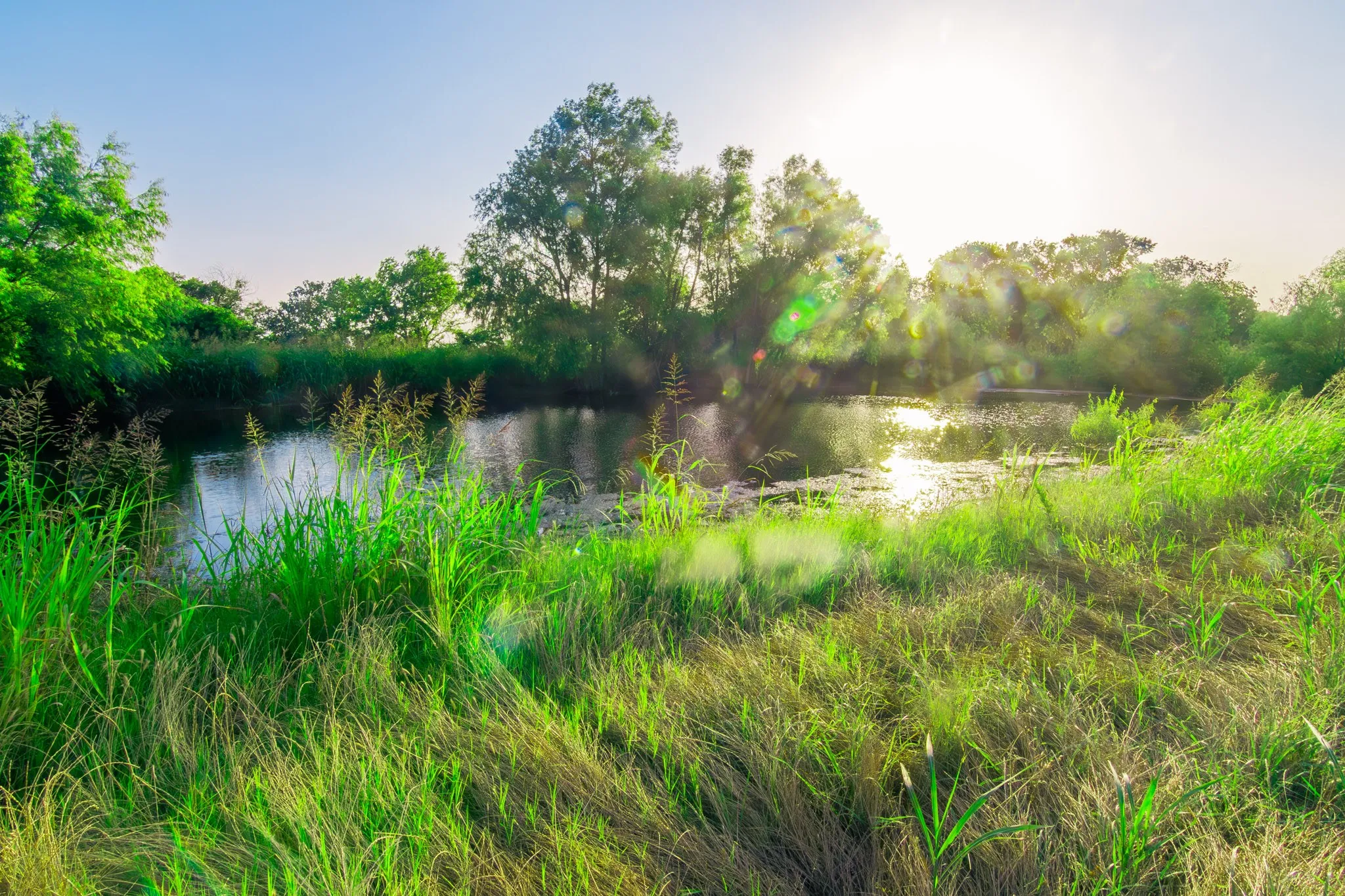Unimproved Land For Sale in Ellis County , TBD Cartwright Road, Avalon, Texas 76623, 0, 0, Garage spaces, 0 Sqft, built in 0, mls#21376007, Real Estate Agent in Avalon, Homes For Sale in Ellis county, Homes For Sale in Avalon, Realtor in Avalon Texas, Real Estate Brokerage Independent Realty Texas, Luminita Cordes Realtor