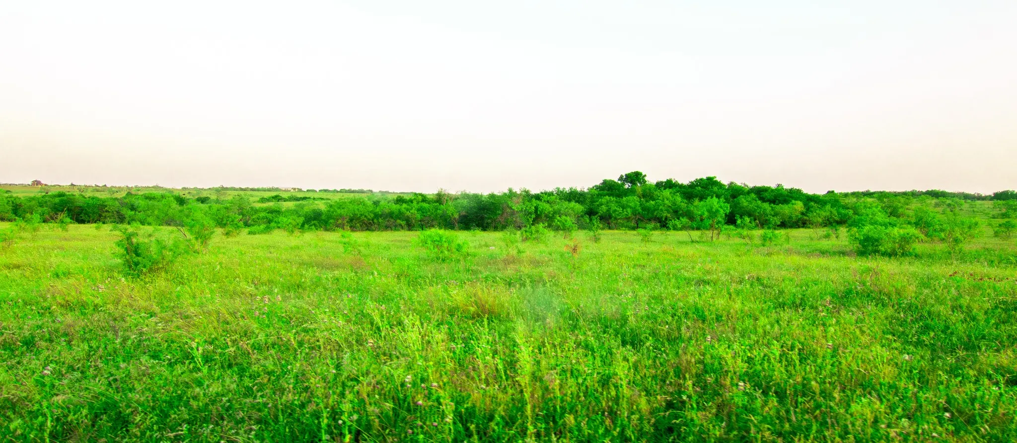 Unimproved Land For Sale in Ellis County , TBD Cartwright Road, Avalon, Texas 76623, 0, 0, Garage spaces, 0 Sqft, built in 0, mls#21376007, Real Estate Agent in Avalon, Homes For Sale in Ellis county, Homes For Sale in Avalon, Realtor in Avalon Texas, Real Estate Brokerage Independent Realty Texas, Luminita Cordes Realtor