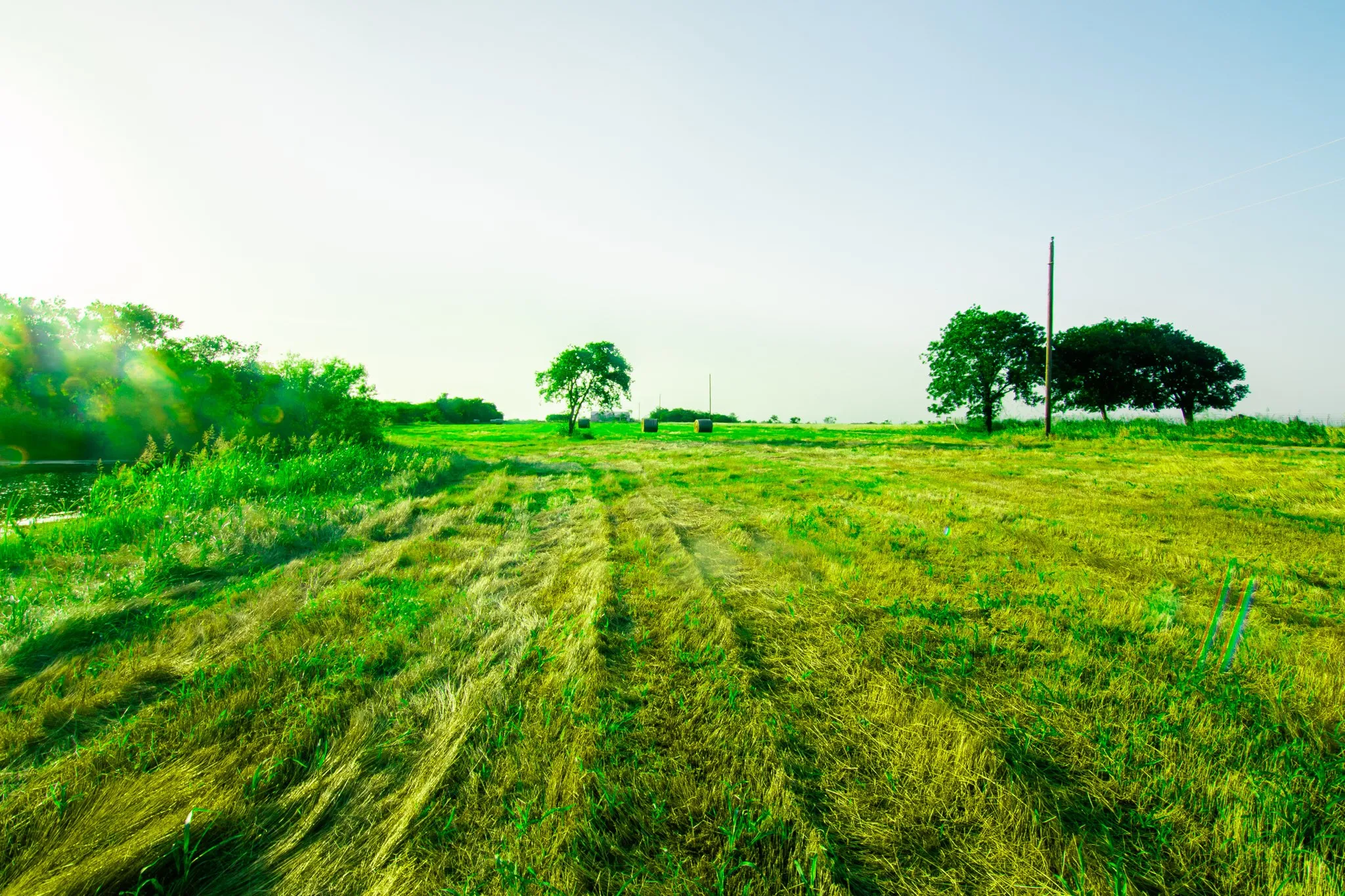 Unimproved Land For Sale in Ellis County , TBD Cartwright Road, Avalon, Texas 76623, 0, 0, Garage spaces, 0 Sqft, built in 0, mls#21376007, Real Estate Agent in Avalon, Homes For Sale in Ellis county, Homes For Sale in Avalon, Realtor in Avalon Texas, Real Estate Brokerage Independent Realty Texas, Luminita Cordes Realtor