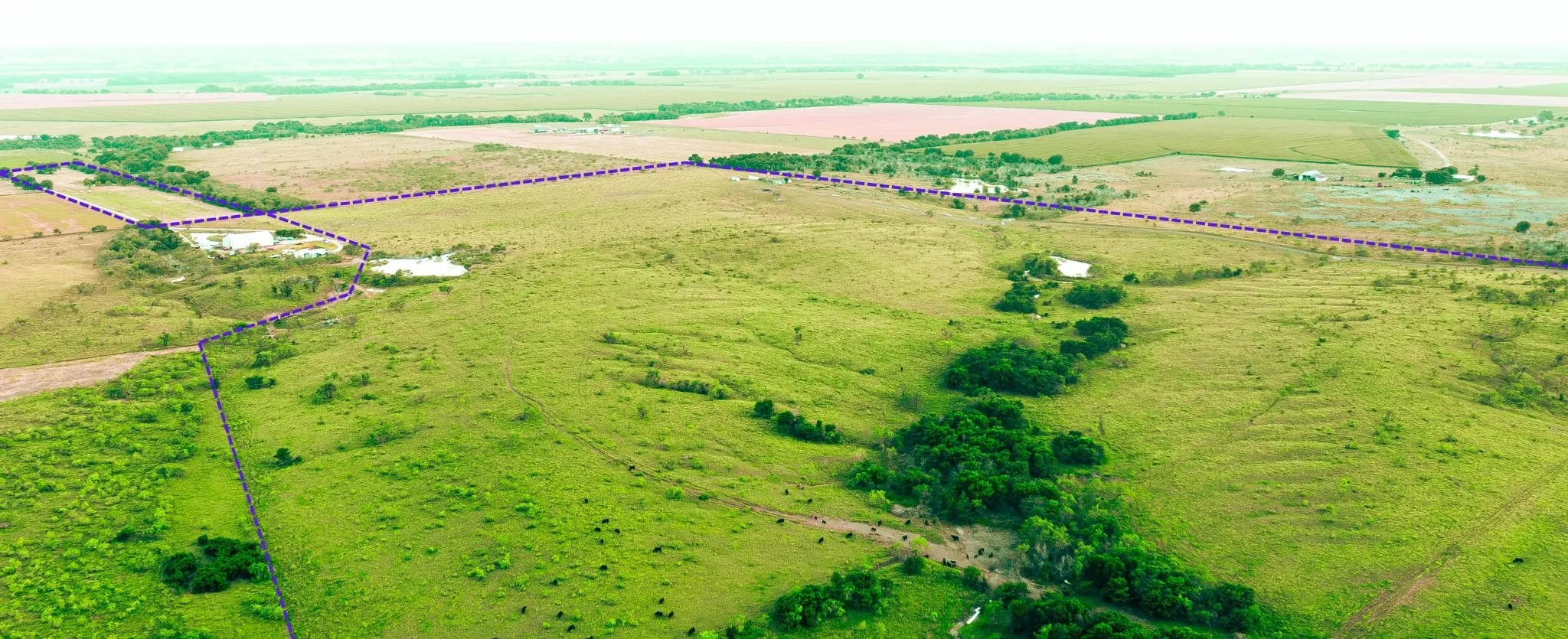 Unimproved Land For Sale in Ellis County , TBD Cartwright Road, Avalon, Texas 76623, 0, 0, Garage spaces, 0 Sqft, built in 0, mls#21376007, Real Estate Agent in Avalon, Homes For Sale in Ellis county, Homes For Sale in Avalon, Realtor in Avalon Texas, Real Estate Brokerage Independent Realty Texas, Luminita Cordes Realtor