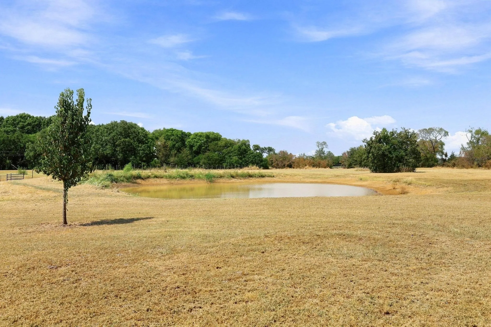 Single Family Residence For Sale in Fannin County , 1350 County Road 4040, Ector, Texas 75479, 4 Bedroom, 3 Bathroom, 2 Garage spaces, 2,016 Sqft, built in 2023, mls#21372190, Real Estate Agent in Ector, Homes For Sale in Fannin county, Homes For Sale in Ector, Realtor in Ector Texas, Real Estate Brokerage Independent Realty Texas, Luminita Cordes Realtor