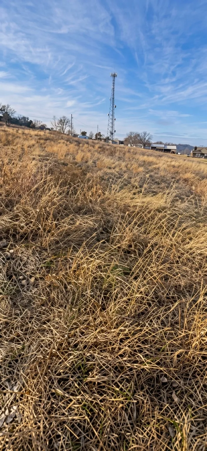 Unimproved Land For Sale in Parker County , 102 Sparrow, Azle, Texas 76020, 0, 0, Garage spaces, 0 Sqft, built in 0, mls#21366992, Real Estate Agent in Azle, Homes For Sale in Parker county, Homes For Sale in Azle, Realtor in Azle Texas, Real Estate Brokerage Independent Realty Texas, Luminita Cordes Realtor