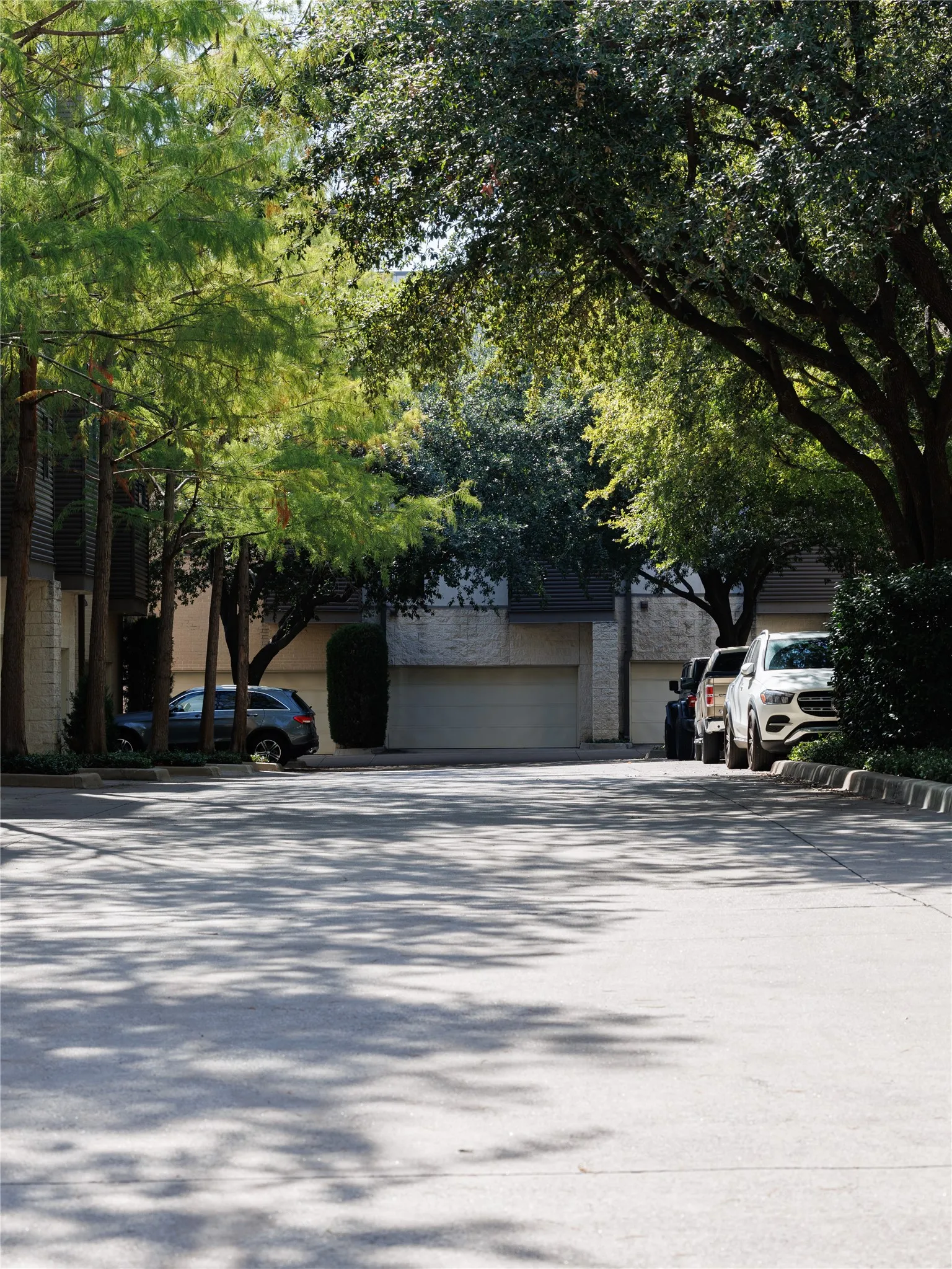 Treelined Street going through the community.