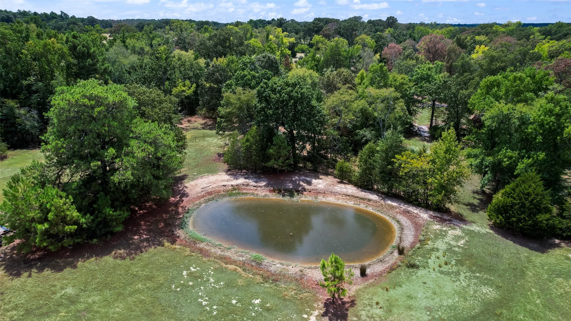 Pond