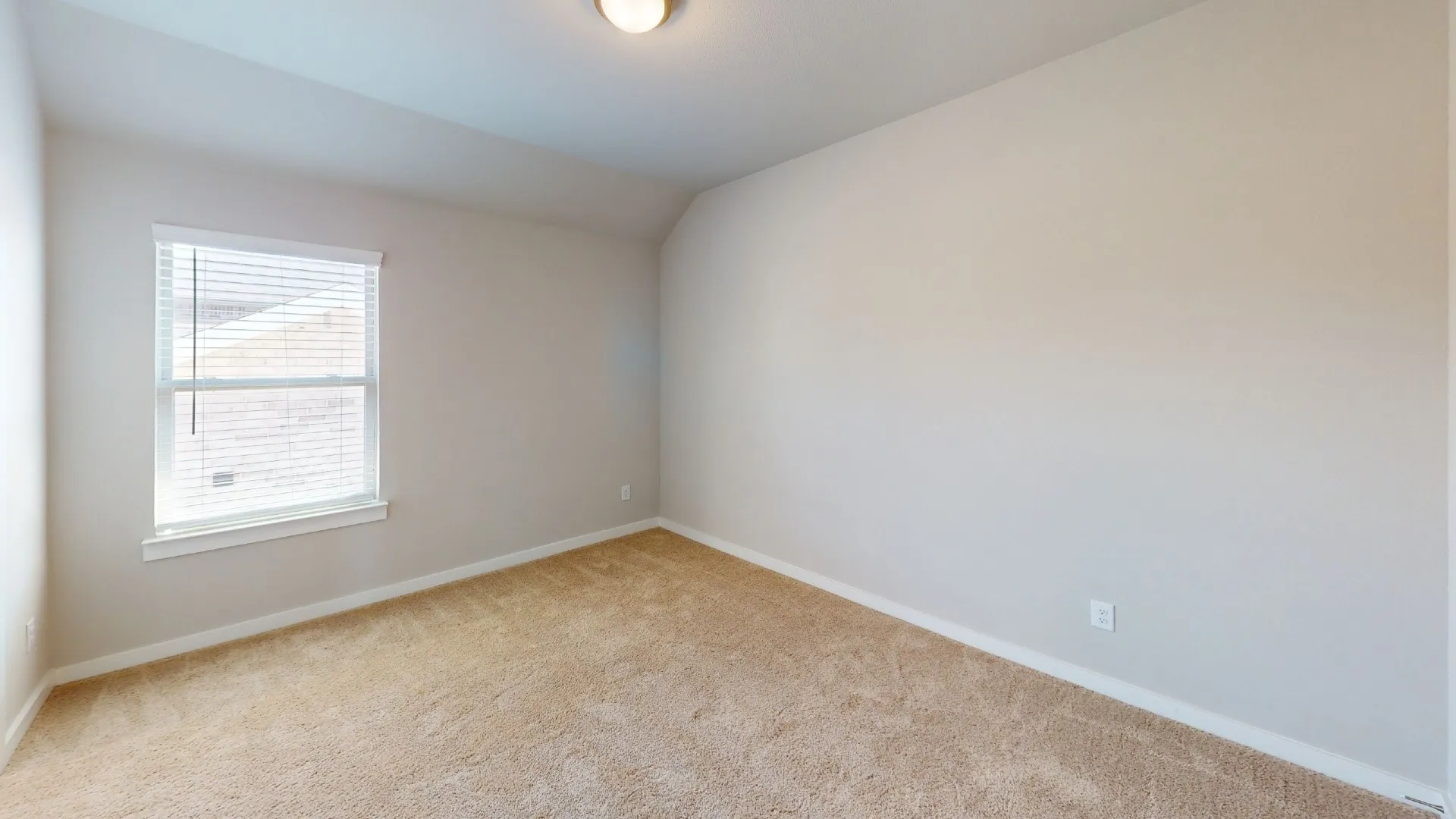 Neutral tone wall paint, carpeted flooring, and a single window with blinds