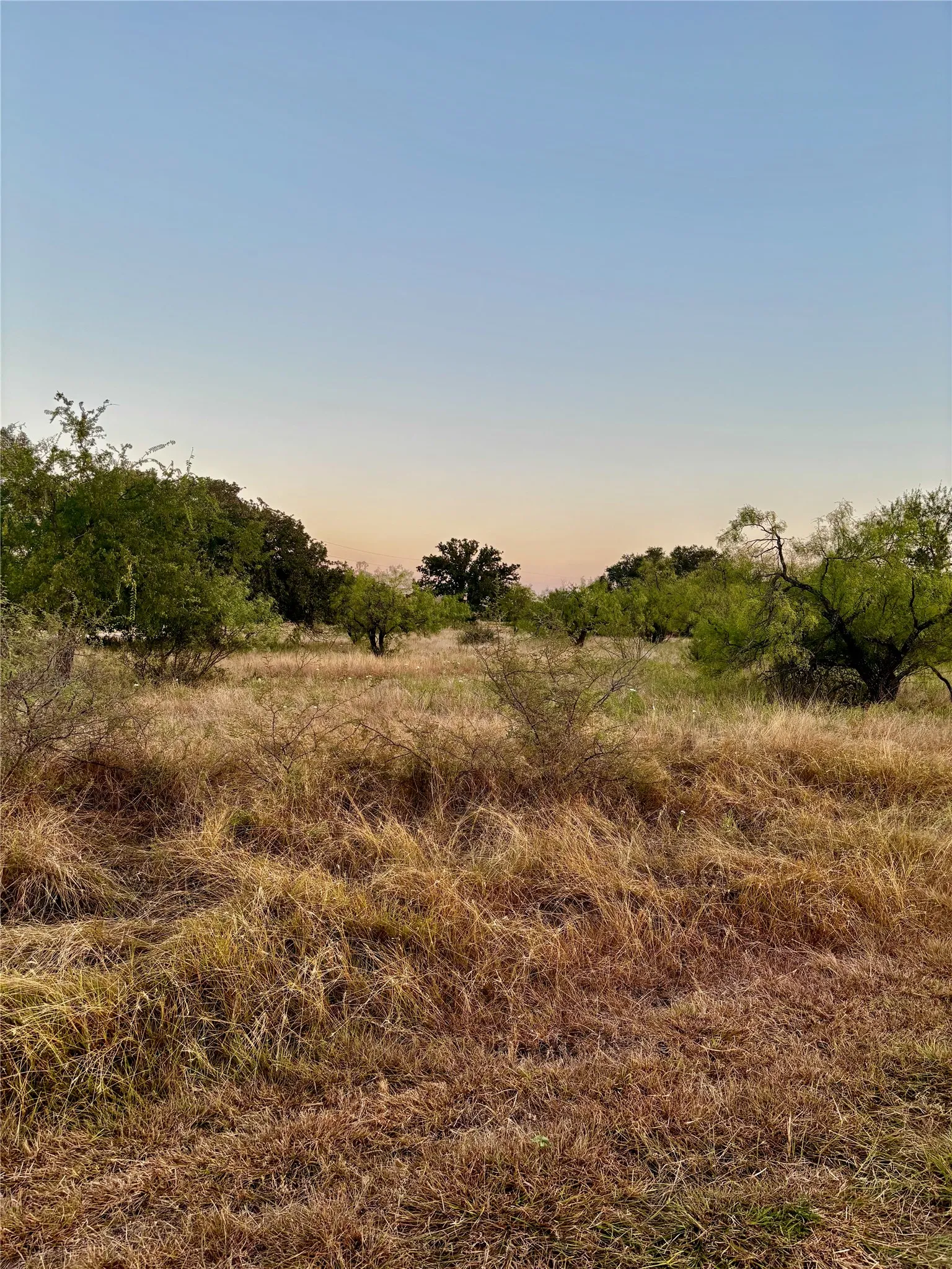Expansive land featuring natural vegetation and scattered trees