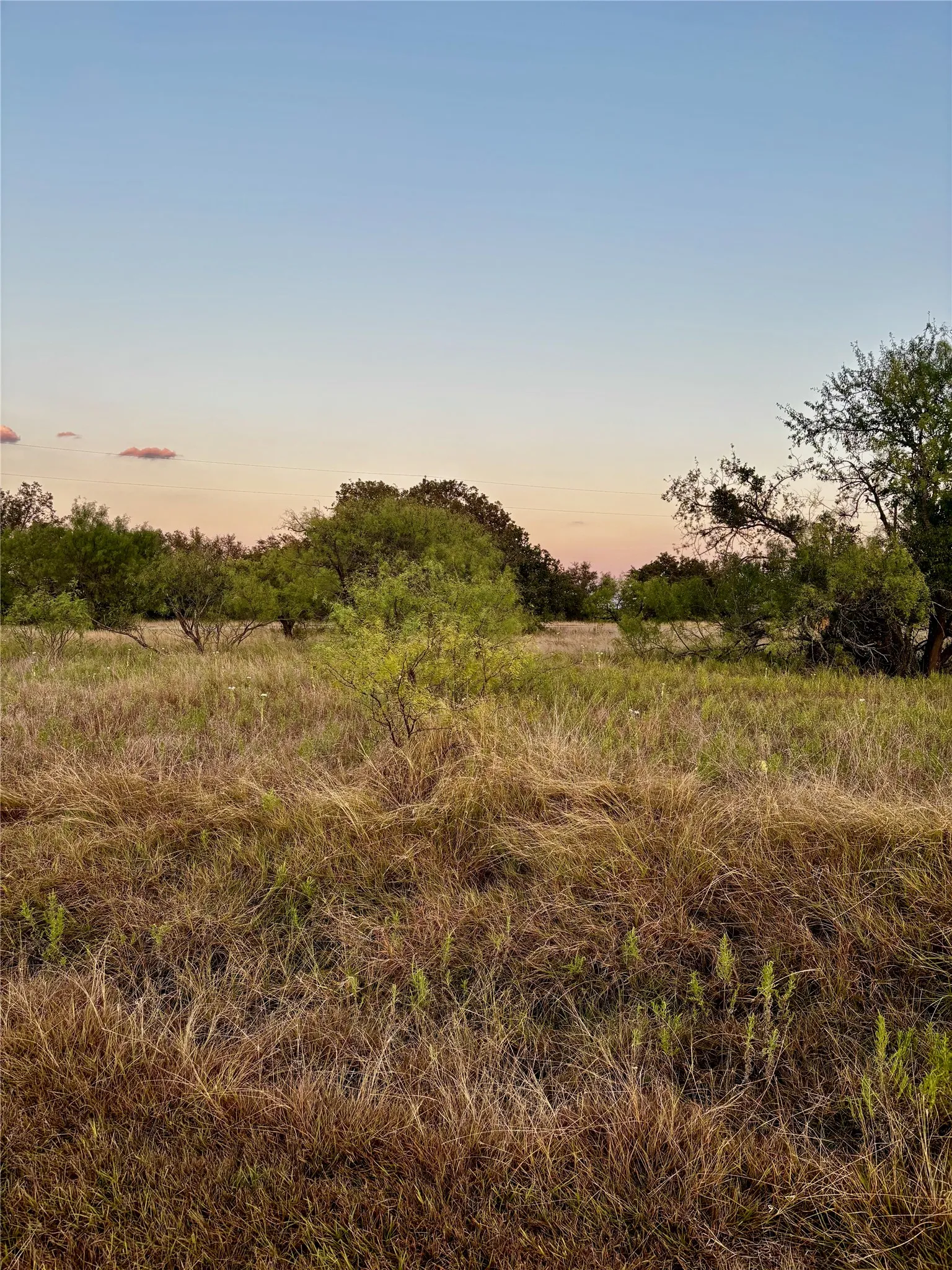 Expansive open land featuring diverse natural vegetation and mature trees