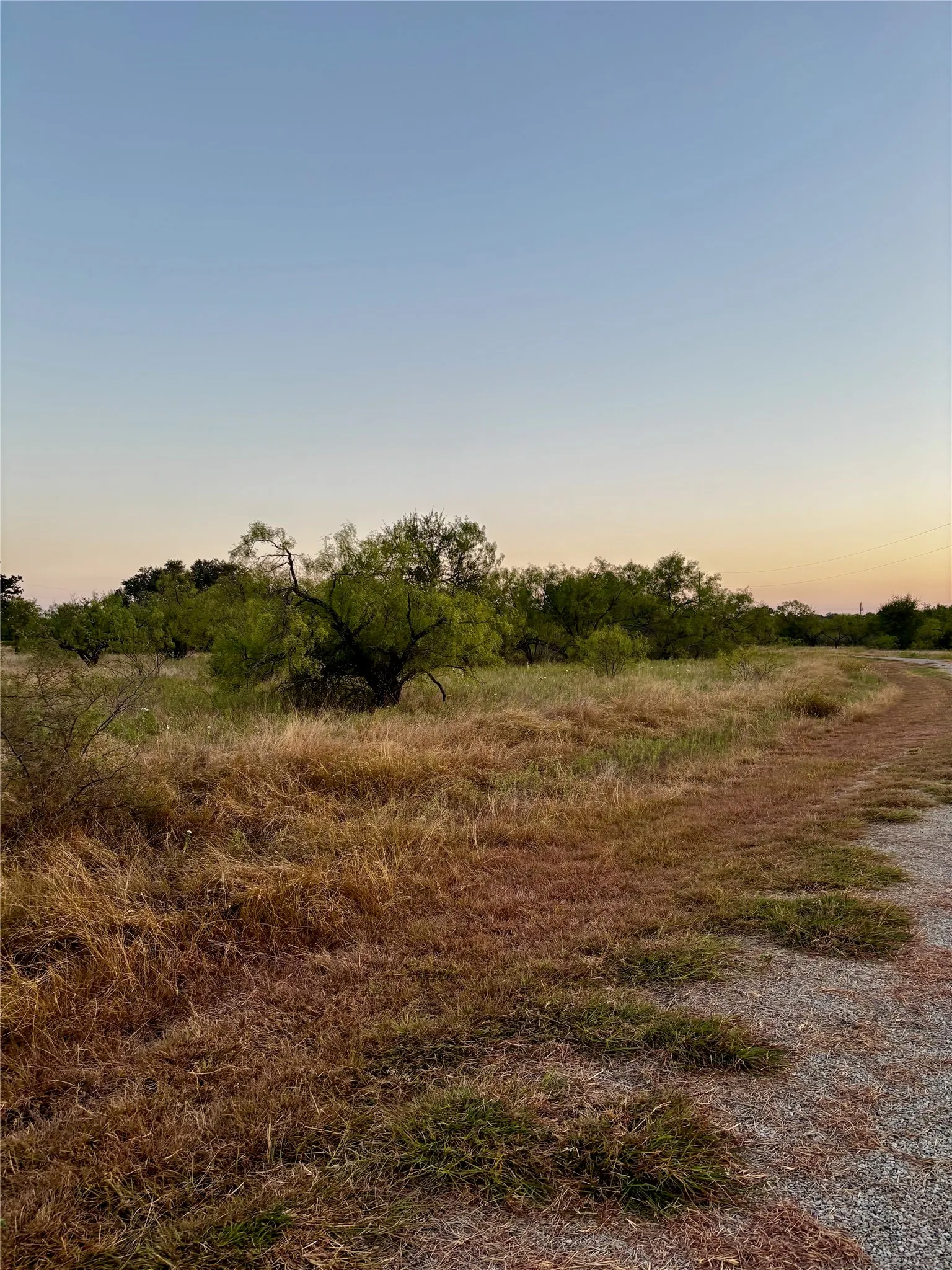 Expansive gravel pathway bordering a natural landscape with mature trees and native grasses