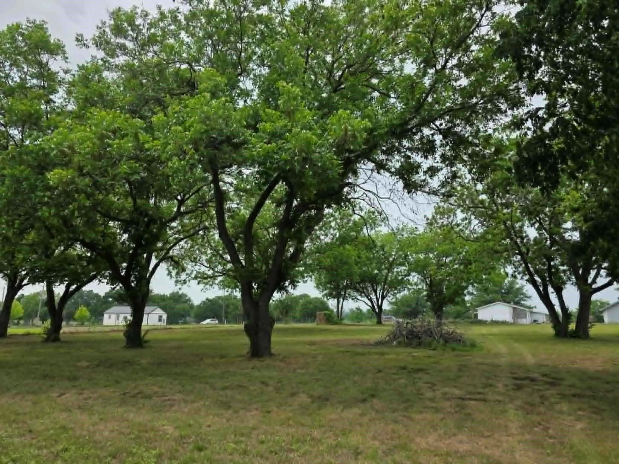 Single Family Residence For Sale in Montague County , 7498 State Highway 175, Montague, Texas 76251, 3 Bedroom, 1 Bathroom, 2 Garage spaces, 1,541 Sqft, built in 1950, mls#21376082, Real Estate Agent in Montague, Homes For Sale in Montague county, Homes For Sale in Montague, Realtor in Montague Texas, Real Estate Brokerage Independent Realty Texas, Luminita Cordes Realtor