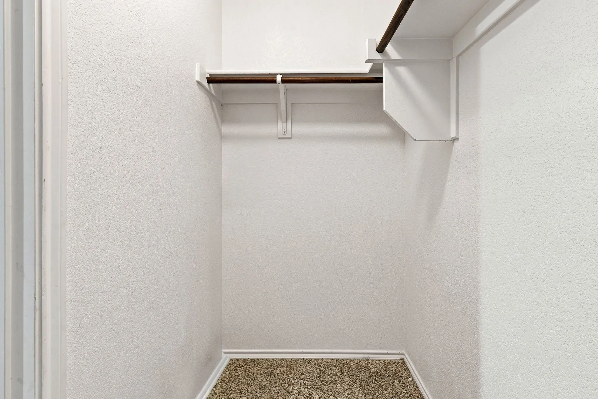Walk-in closet featuring carpet flooring, built-in shelving, and a hanging rod