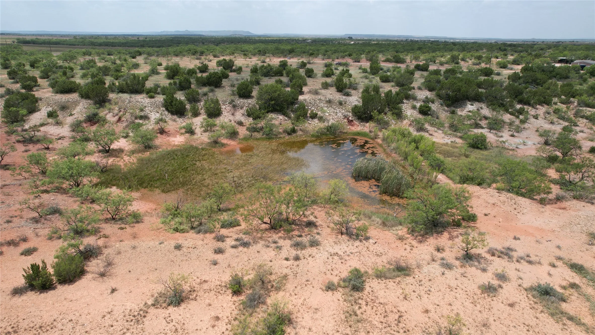 Ranch For Sale in Runnels County , 5510 CRD 287, Bronte, Texas 76933, 0, 0, Garage spaces, 0 Sqft, built in 0, mls#21363610, Real Estate Agent in Bronte, Homes For Sale in Runnels county, Homes For Sale in Bronte, Realtor in Bronte Texas, Real Estate Brokerage Independent Realty Texas, Luminita Cordes Realtor