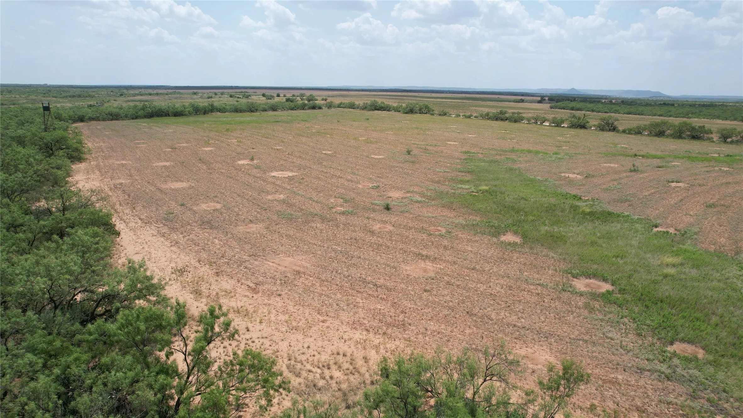 Ranch For Sale in Runnels County , 5510 CRD 287, Bronte, Texas 76933, 0, 0, Garage spaces, 0 Sqft, built in 0, mls#21363610, Real Estate Agent in Bronte, Homes For Sale in Runnels county, Homes For Sale in Bronte, Realtor in Bronte Texas, Real Estate Brokerage Independent Realty Texas, Luminita Cordes Realtor