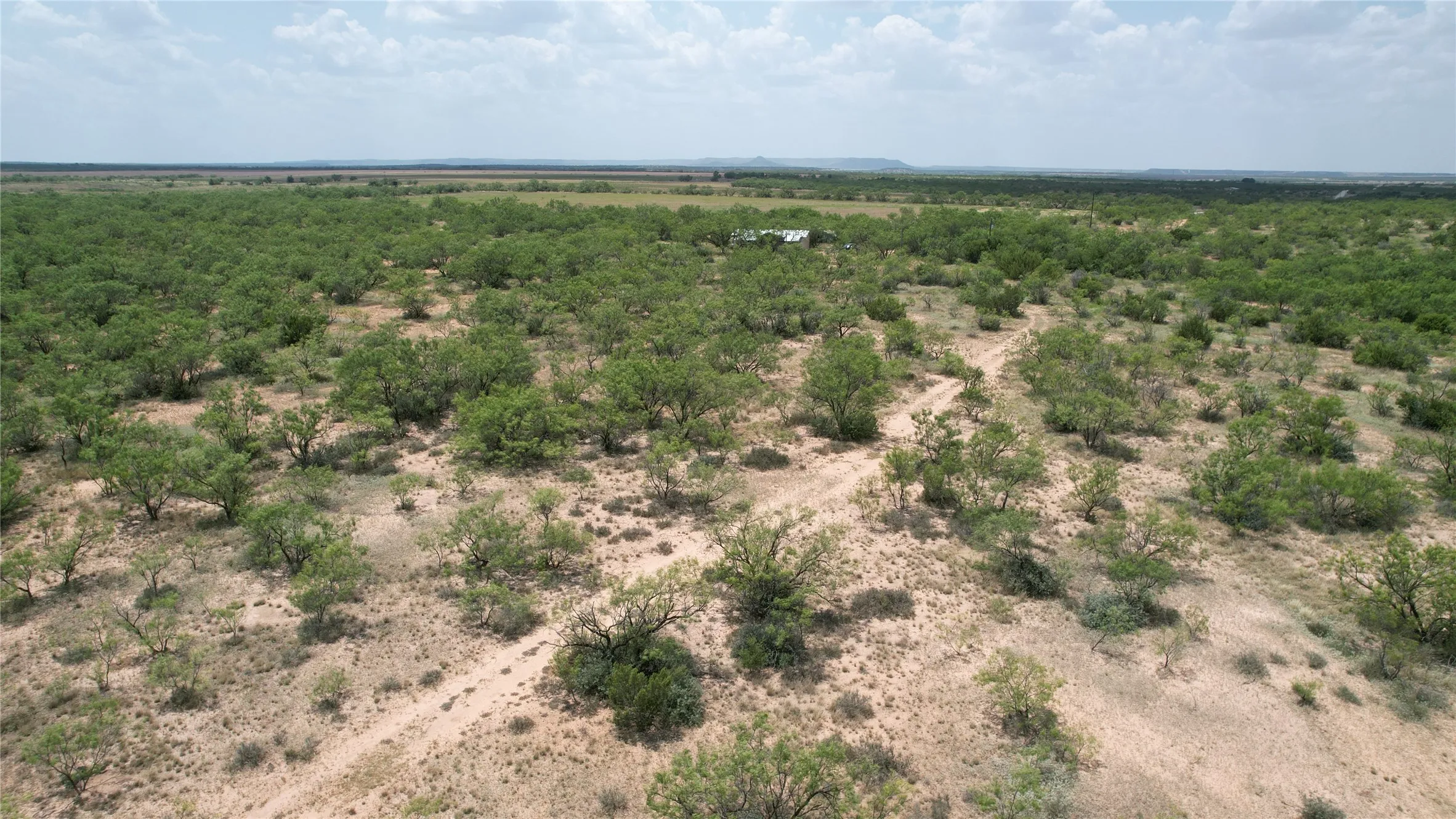 Ranch For Sale in Runnels County , 5510 CRD 287, Bronte, Texas 76933, 0, 0, Garage spaces, 0 Sqft, built in 0, mls#21363610, Real Estate Agent in Bronte, Homes For Sale in Runnels county, Homes For Sale in Bronte, Realtor in Bronte Texas, Real Estate Brokerage Independent Realty Texas, Luminita Cordes Realtor