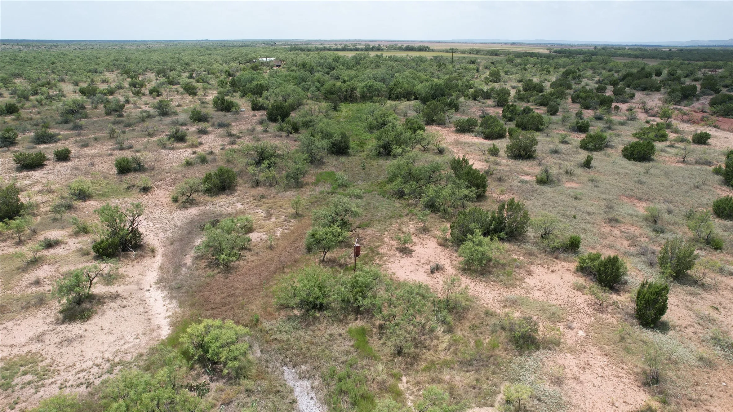 Ranch For Sale in Runnels County , 5510 CRD 287, Bronte, Texas 76933, 0, 0, Garage spaces, 0 Sqft, built in 0, mls#21363610, Real Estate Agent in Bronte, Homes For Sale in Runnels county, Homes For Sale in Bronte, Realtor in Bronte Texas, Real Estate Brokerage Independent Realty Texas, Luminita Cordes Realtor