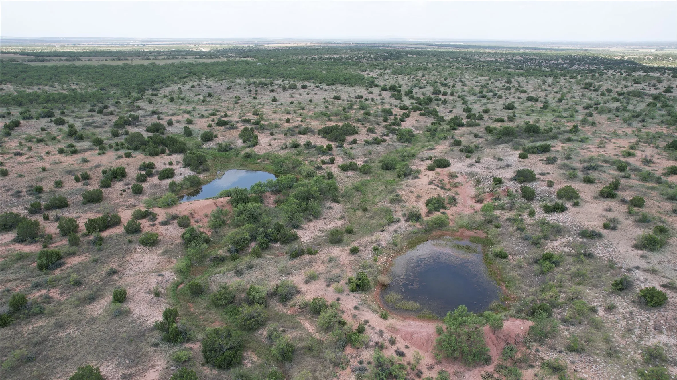 Ranch For Sale in Runnels County , 5510 CRD 287, Bronte, Texas 76933, 0, 0, Garage spaces, 0 Sqft, built in 0, mls#21363610, Real Estate Agent in Bronte, Homes For Sale in Runnels county, Homes For Sale in Bronte, Realtor in Bronte Texas, Real Estate Brokerage Independent Realty Texas, Luminita Cordes Realtor