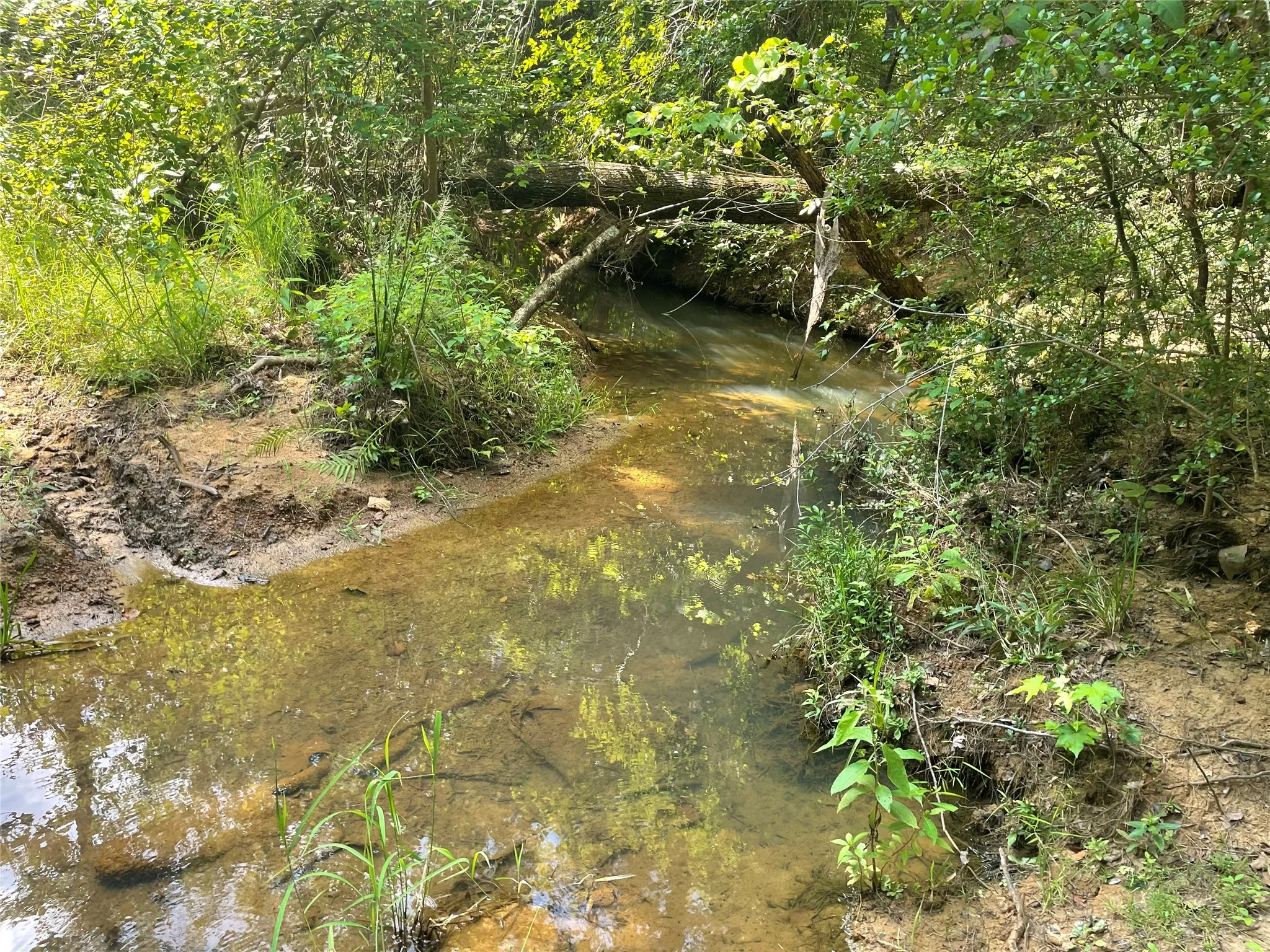View of Creek running throughout property