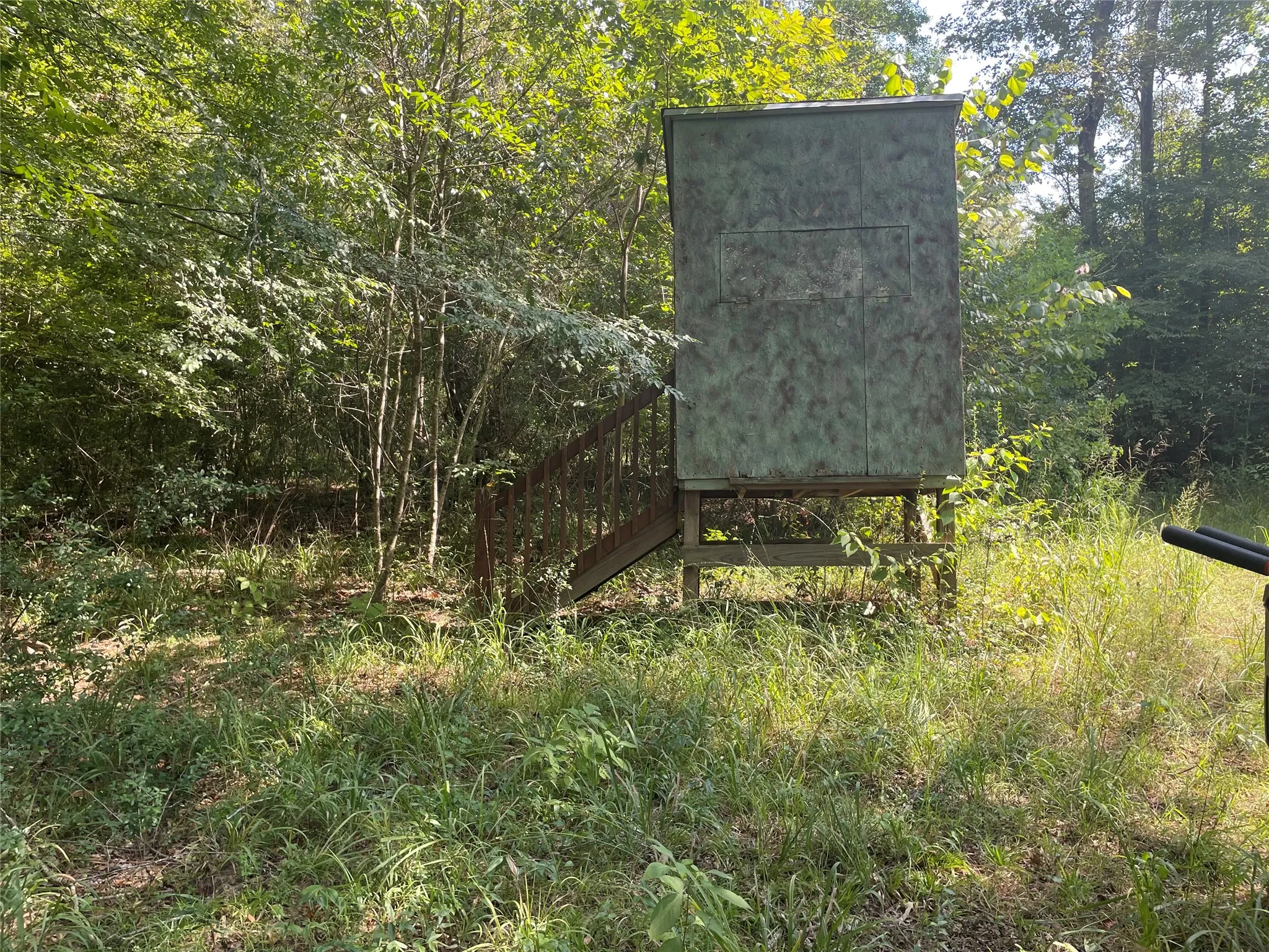 View of deer stand
