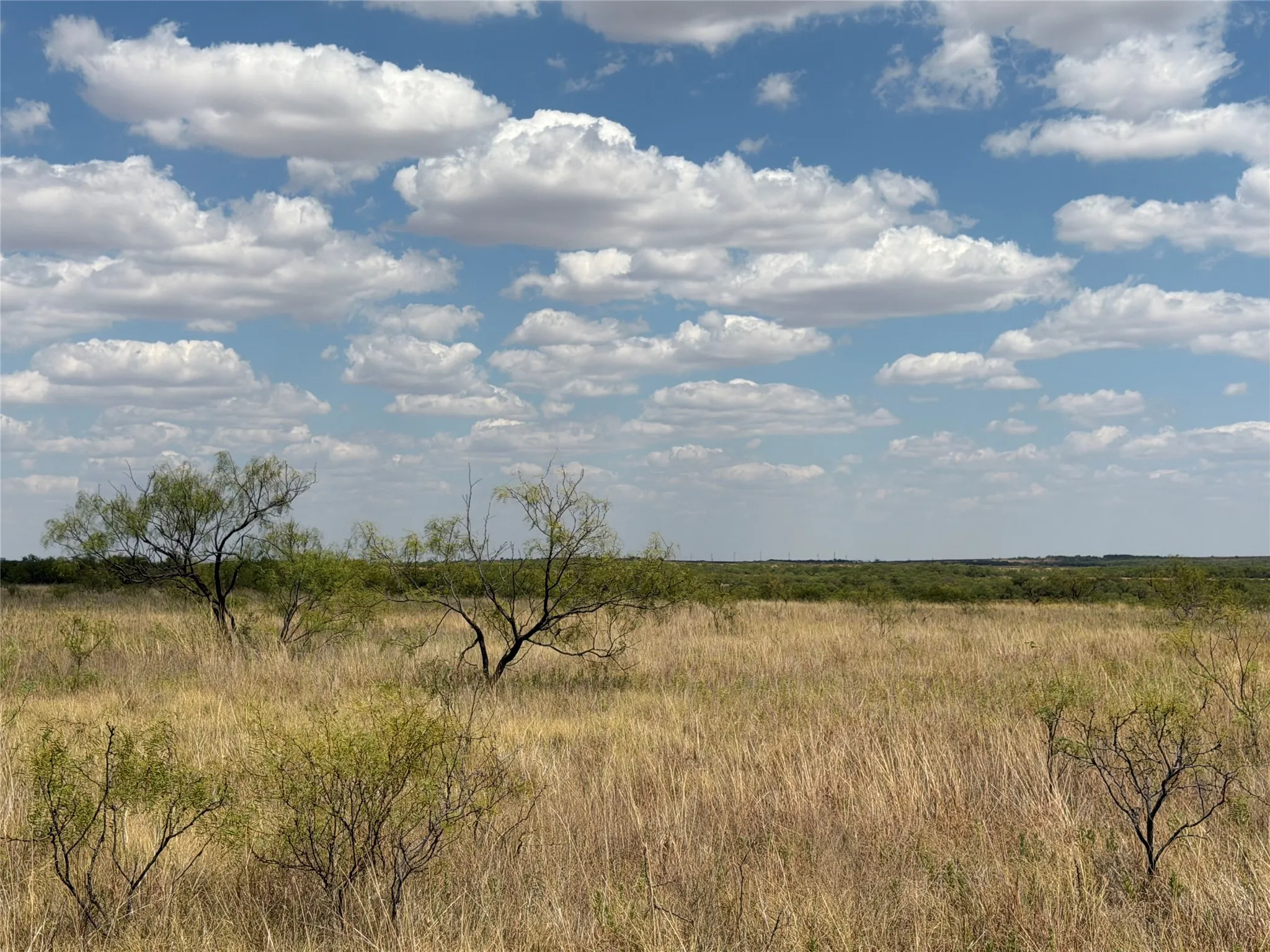 Ranch For Sale in Baylor County , TBD FM 2180, Seymour, Texas 76380, 0, 0, Garage spaces, 0 Sqft, built in 0, mls#21375569, Real Estate Agent in Seymour, Homes For Sale in Baylor county, Homes For Sale in Seymour, Realtor in Seymour Texas, Real Estate Brokerage Independent Realty Texas, Luminita Cordes Realtor