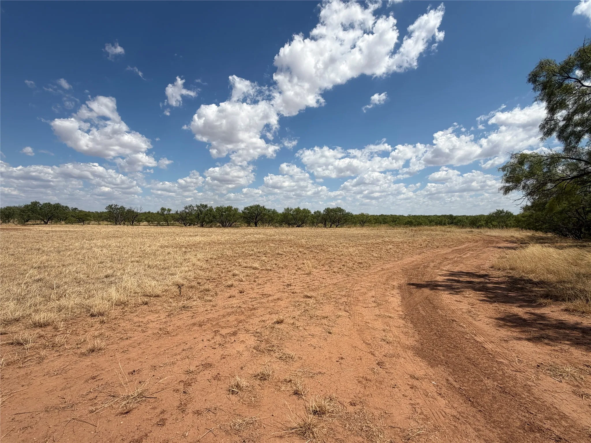 Ranch For Sale in Baylor County , TBD FM 2180, Seymour, Texas 76380, 0, 0, Garage spaces, 0 Sqft, built in 0, mls#21375569, Real Estate Agent in Seymour, Homes For Sale in Baylor county, Homes For Sale in Seymour, Realtor in Seymour Texas, Real Estate Brokerage Independent Realty Texas, Luminita Cordes Realtor