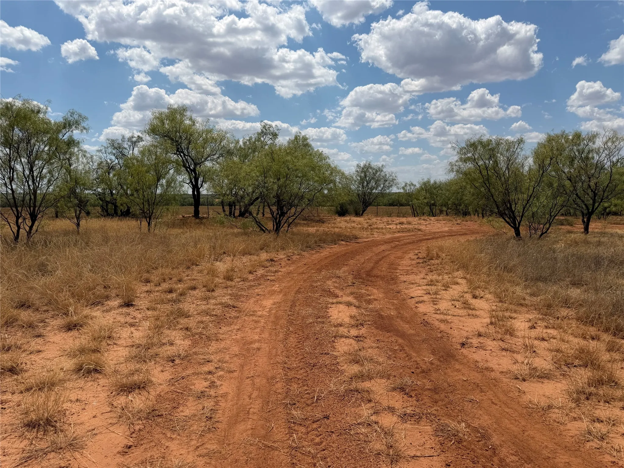 Ranch For Sale in Baylor County , TBD FM 2180, Seymour, Texas 76380, 0, 0, Garage spaces, 0 Sqft, built in 0, mls#21375569, Real Estate Agent in Seymour, Homes For Sale in Baylor county, Homes For Sale in Seymour, Realtor in Seymour Texas, Real Estate Brokerage Independent Realty Texas, Luminita Cordes Realtor