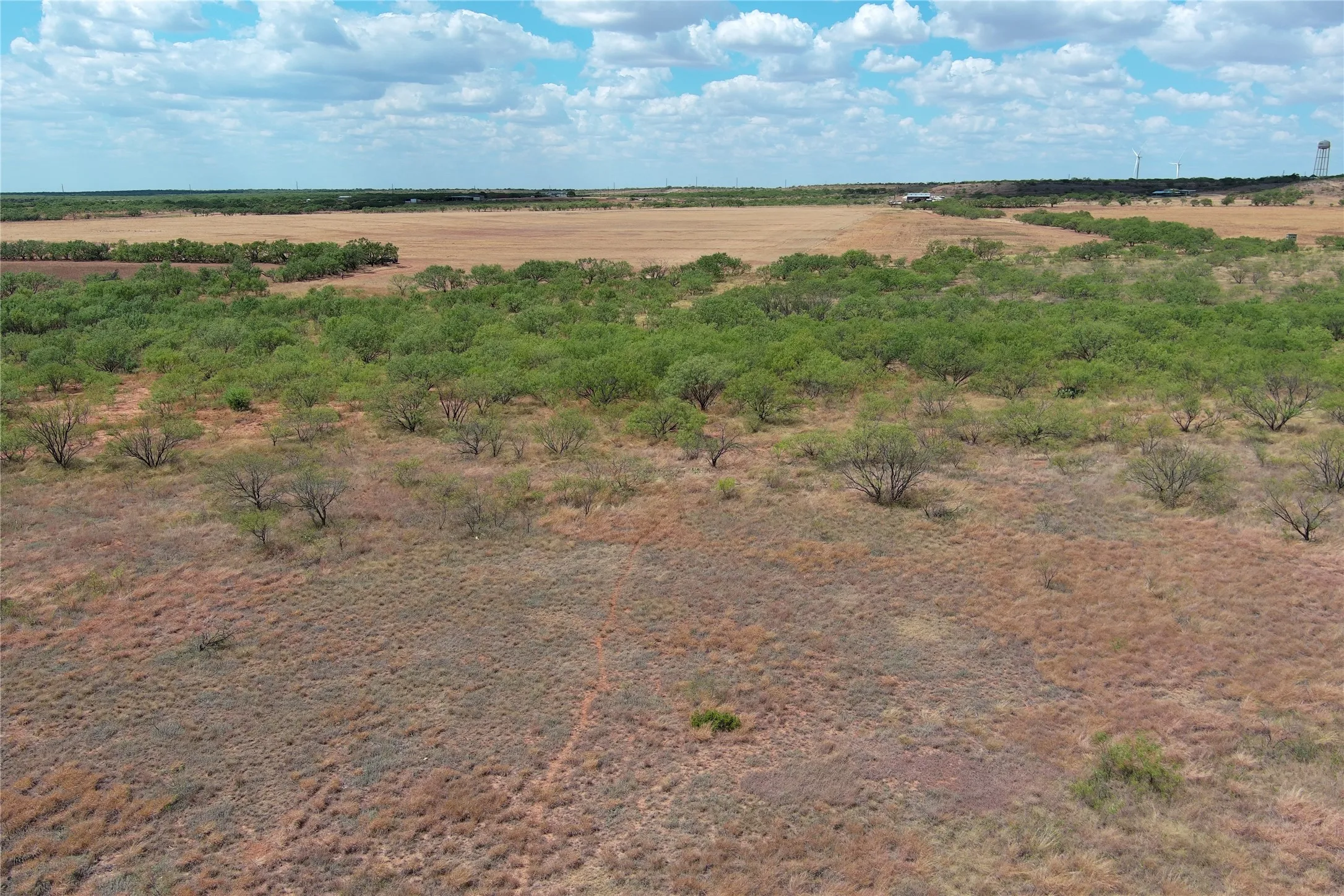 Ranch For Sale in Baylor County , TBD FM 2180, Seymour, Texas 76380, 0, 0, Garage spaces, 0 Sqft, built in 0, mls#21375569, Real Estate Agent in Seymour, Homes For Sale in Baylor county, Homes For Sale in Seymour, Realtor in Seymour Texas, Real Estate Brokerage Independent Realty Texas, Luminita Cordes Realtor