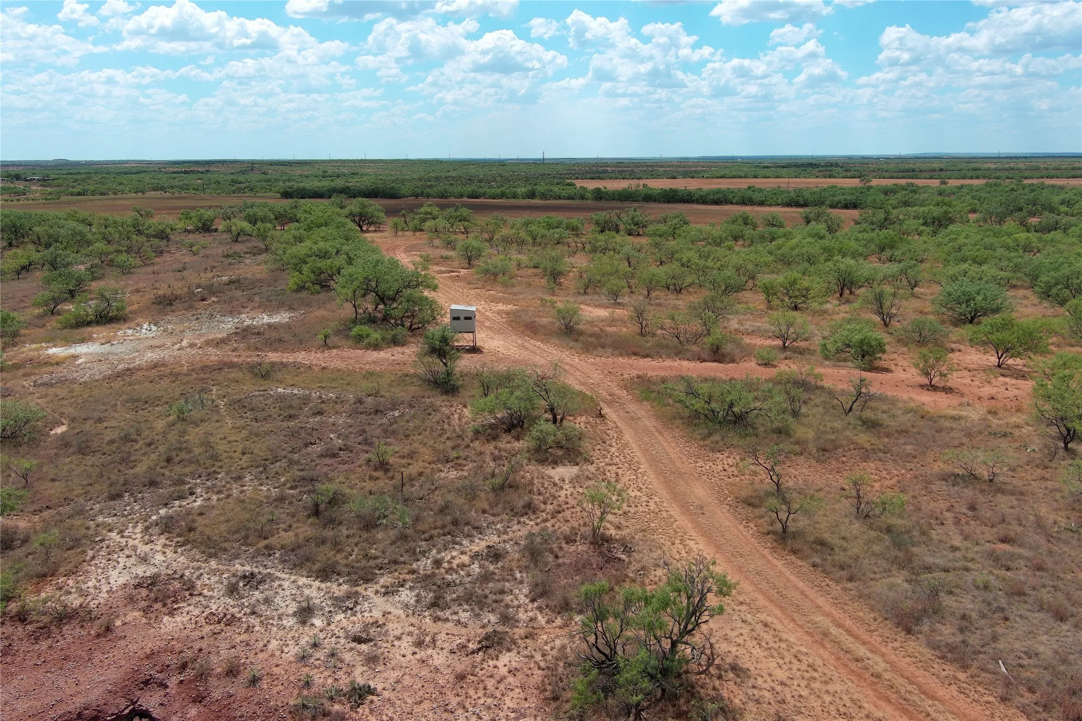 Ranch For Sale in Baylor County , TBD FM 2180, Seymour, Texas 76380, 0, 0, Garage spaces, 0 Sqft, built in 0, mls#21375569, Real Estate Agent in Seymour, Homes For Sale in Baylor county, Homes For Sale in Seymour, Realtor in Seymour Texas, Real Estate Brokerage Independent Realty Texas, Luminita Cordes Realtor