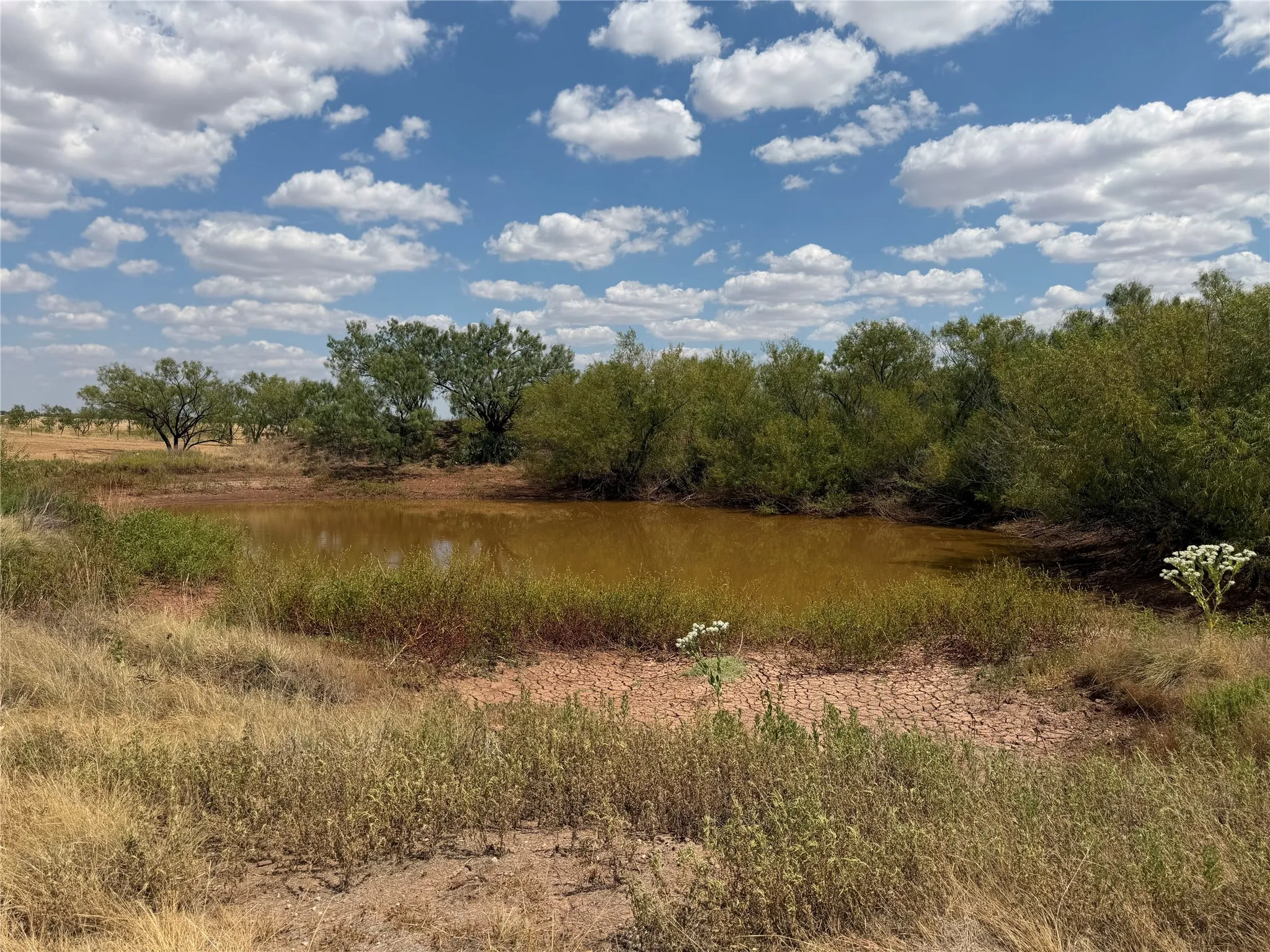 Ranch For Sale in Baylor County , TBD FM 2180, Seymour, Texas 76380, 0, 0, Garage spaces, 0 Sqft, built in 0, mls#21375569, Real Estate Agent in Seymour, Homes For Sale in Baylor county, Homes For Sale in Seymour, Realtor in Seymour Texas, Real Estate Brokerage Independent Realty Texas, Luminita Cordes Realtor