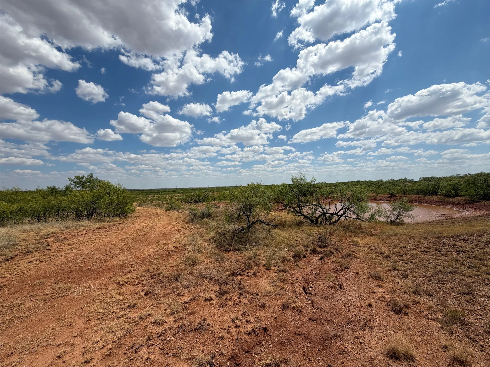 Ranch For Sale in Baylor County , TBD FM 2180, Seymour, Texas 76380, 0, 0, Garage spaces, 0 Sqft, built in 0, mls#21375569, Real Estate Agent in Seymour, Homes For Sale in Baylor county, Homes For Sale in Seymour, Realtor in Seymour Texas, Real Estate Brokerage Independent Realty Texas, Luminita Cordes Realtor