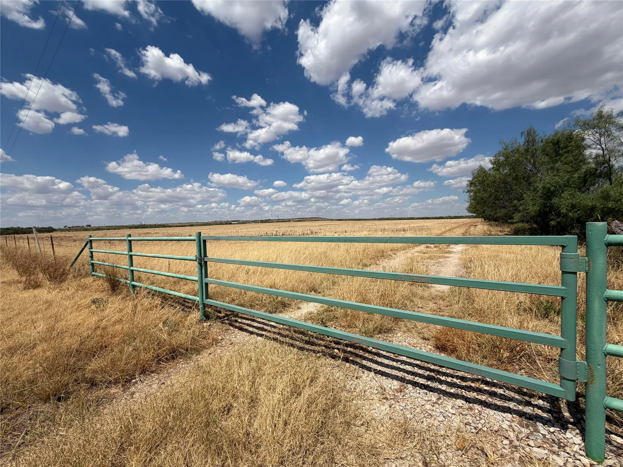 Ranch For Sale in Baylor County , TBD FM 2180, Seymour, Texas 76380, 0, 0, Garage spaces, 0 Sqft, built in 0, mls#21375569, Real Estate Agent in Seymour, Homes For Sale in Baylor county, Homes For Sale in Seymour, Realtor in Seymour Texas, Real Estate Brokerage Independent Realty Texas, Luminita Cordes Realtor