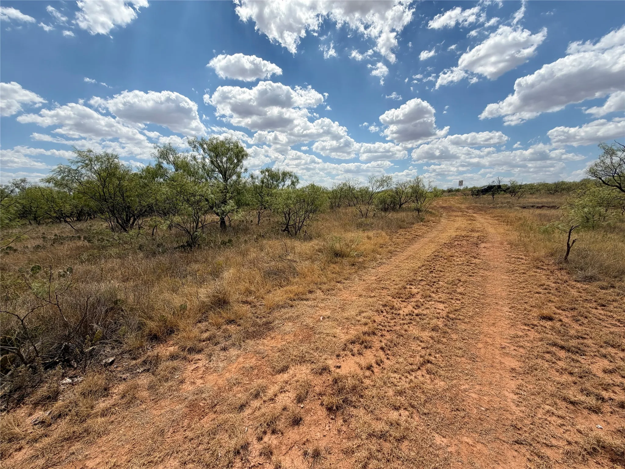 Ranch For Sale in Baylor County , TBD FM 2180, Seymour, Texas 76380, 0, 0, Garage spaces, 0 Sqft, built in 0, mls#21375569, Real Estate Agent in Seymour, Homes For Sale in Baylor county, Homes For Sale in Seymour, Realtor in Seymour Texas, Real Estate Brokerage Independent Realty Texas, Luminita Cordes Realtor