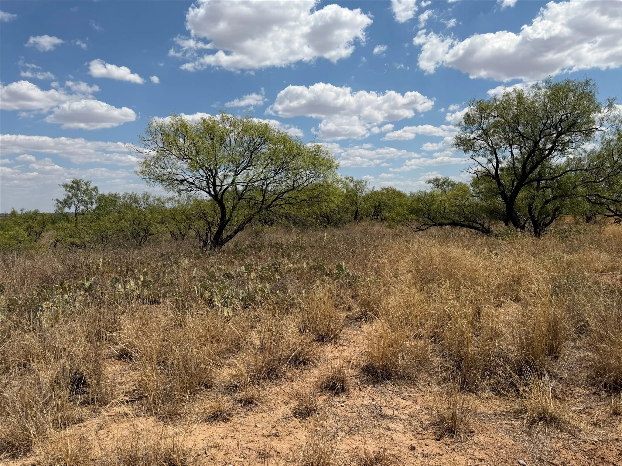 Ranch For Sale in Baylor County , TBD FM 2180, Seymour, Texas 76380, 0, 0, Garage spaces, 0 Sqft, built in 0, mls#21375569, Real Estate Agent in Seymour, Homes For Sale in Baylor county, Homes For Sale in Seymour, Realtor in Seymour Texas, Real Estate Brokerage Independent Realty Texas, Luminita Cordes Realtor