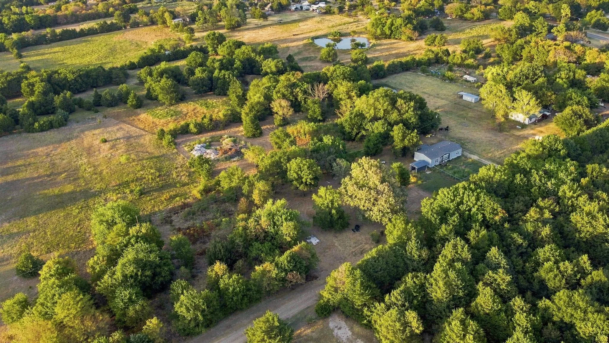 Expansive acreage featuring mature trees and cultivated fields