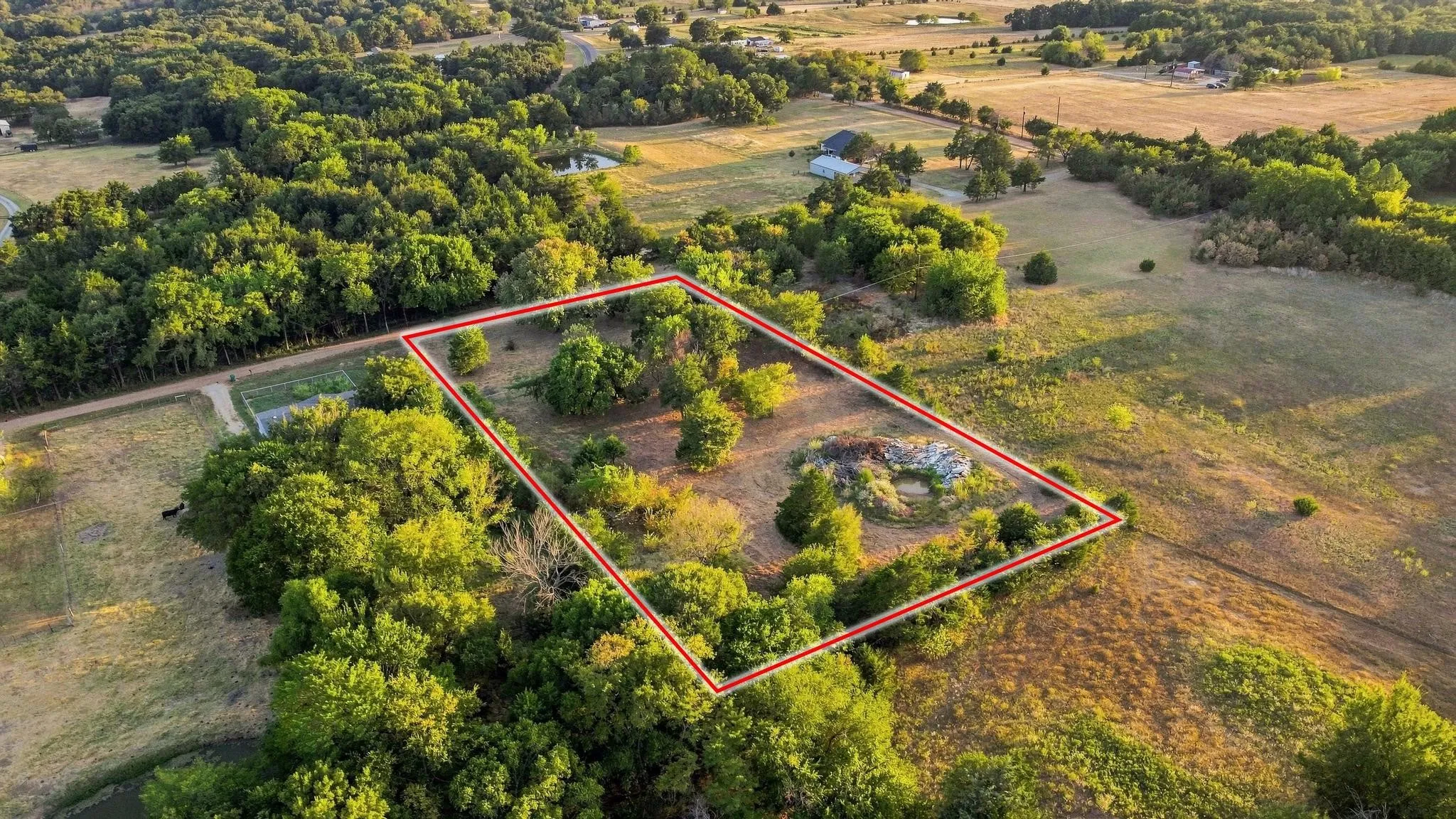 Expansive acreage with established tree cover and open clearings