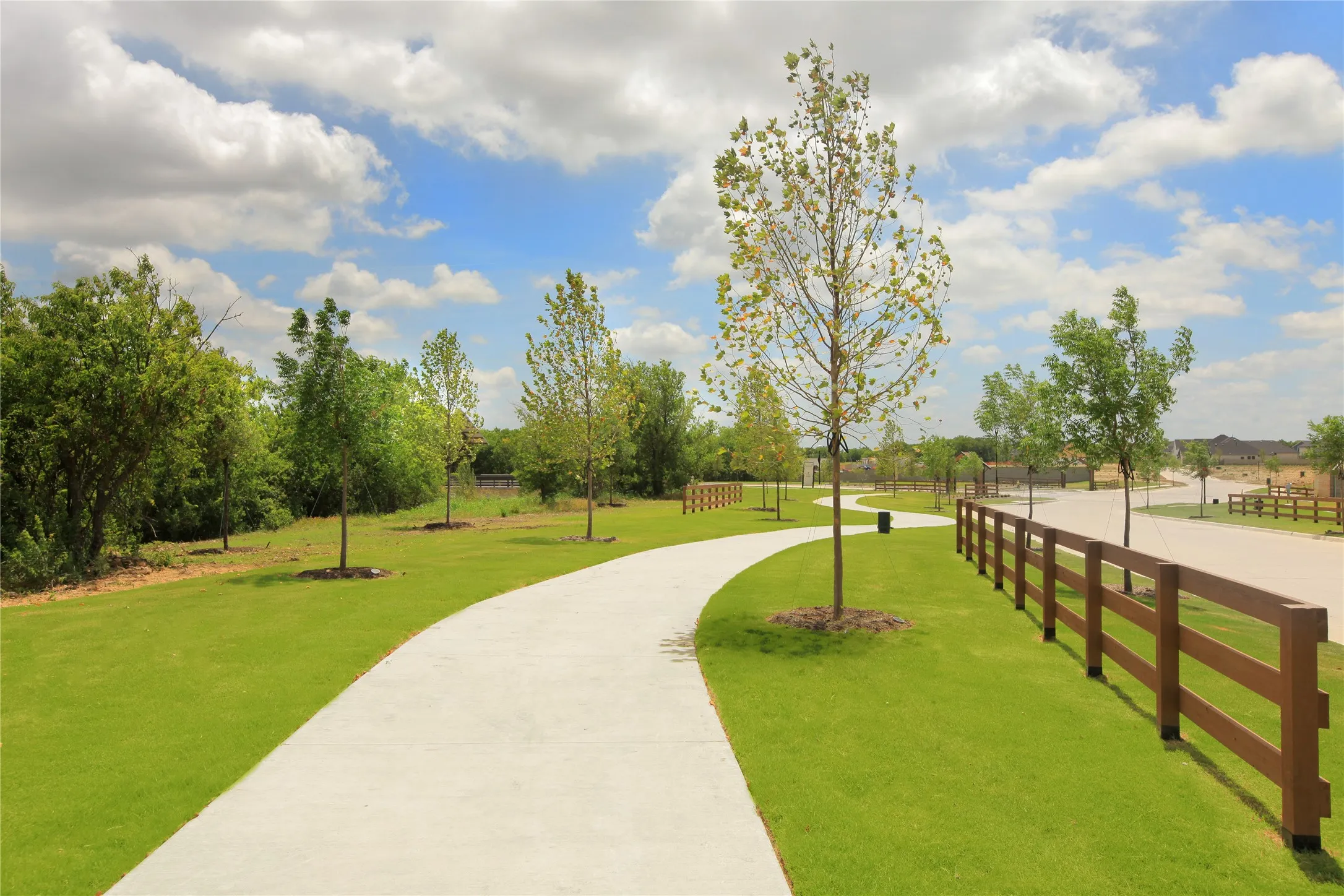 Walking paths
