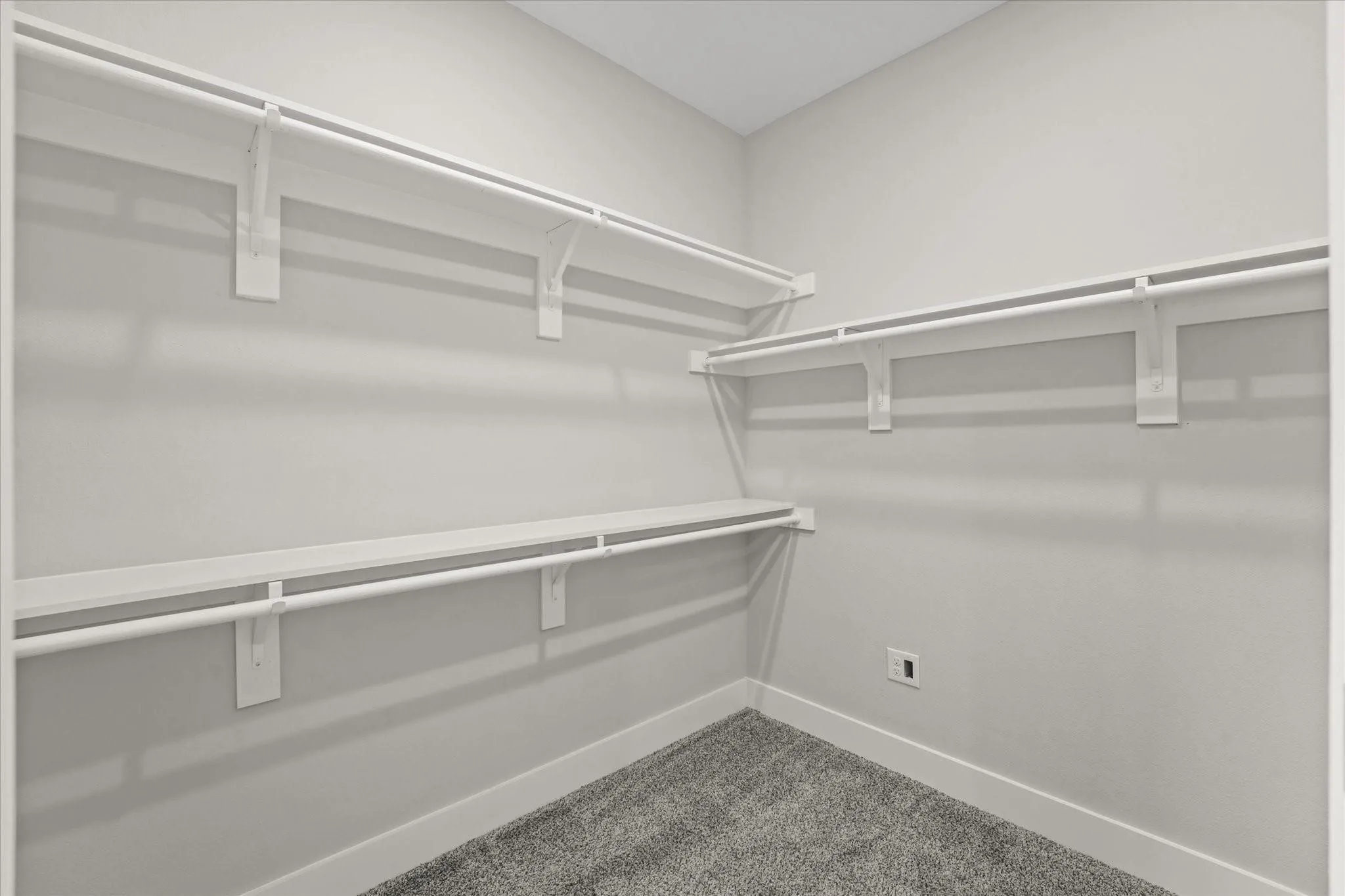 Walk-in closet with carpet flooring, white walls, and built-in shelving units