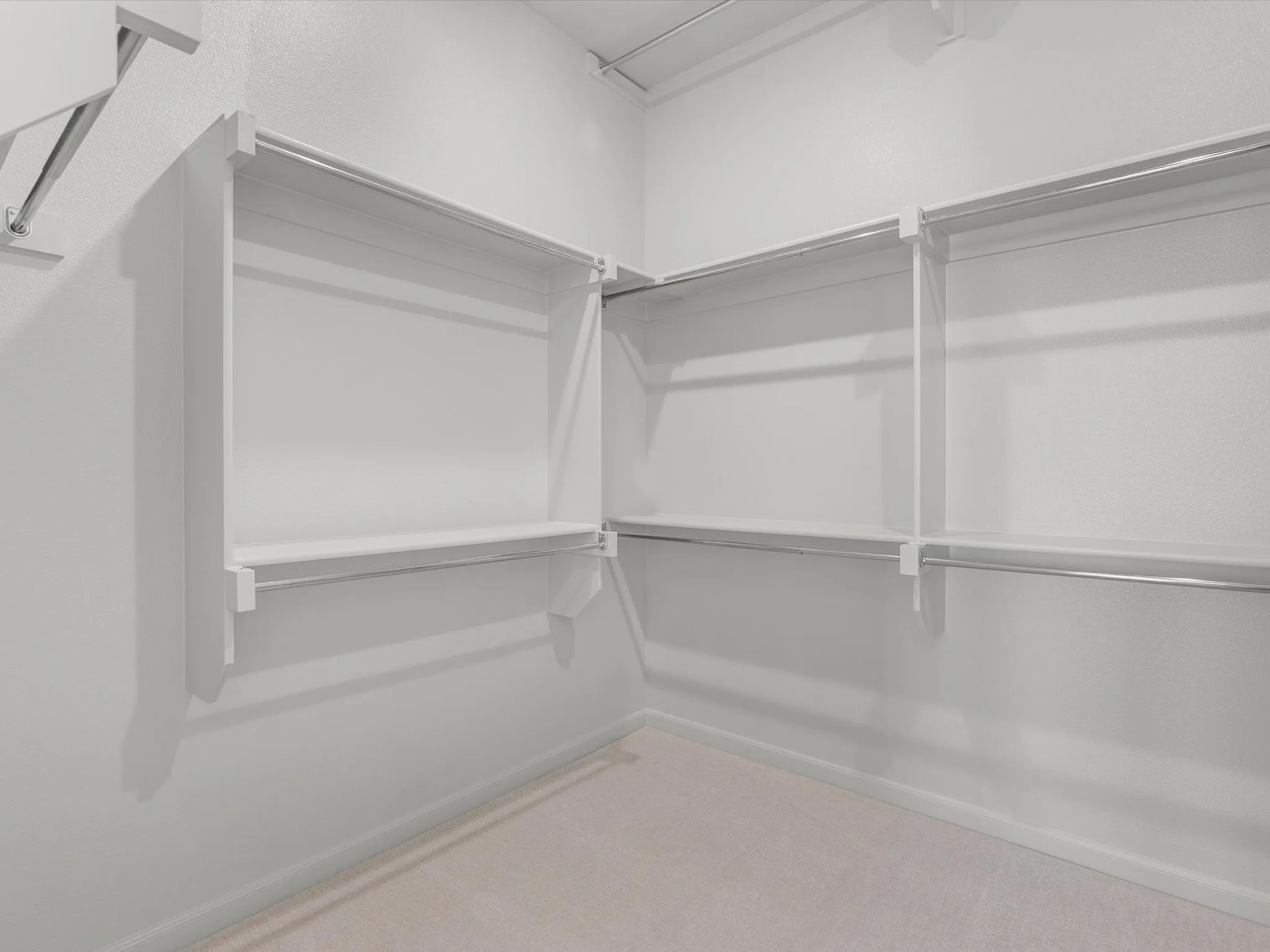 Walk-in closet featuring white built-in shelving, multiple hanging rods, and light-colored carpeting