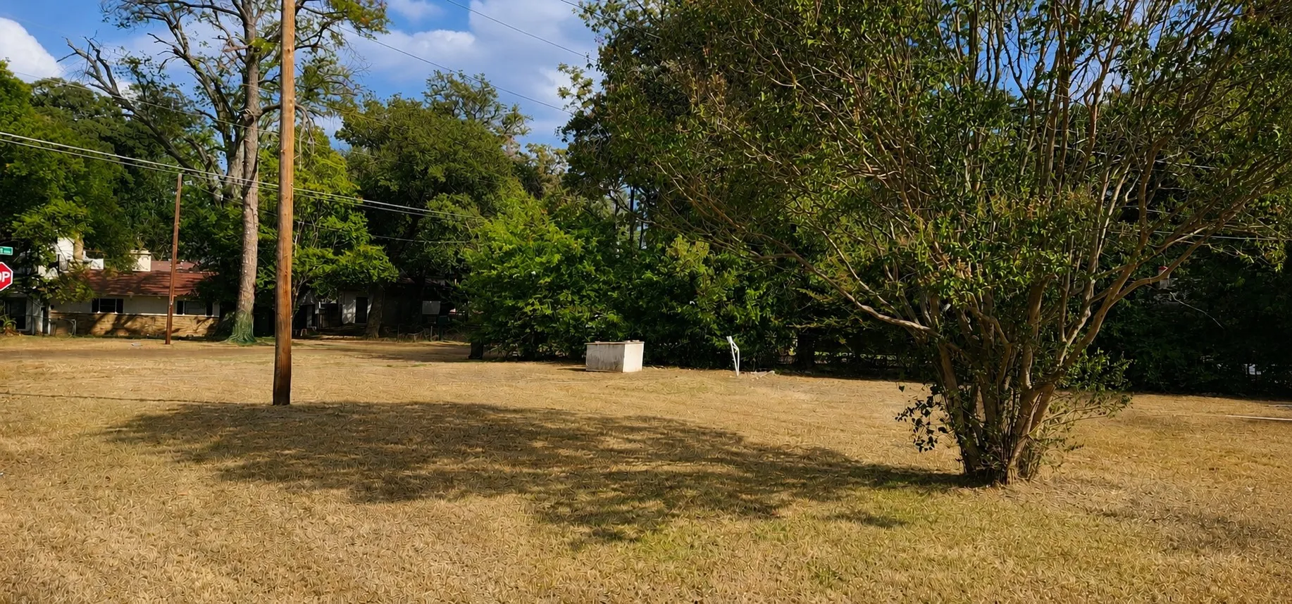 Expansive lot featuring mature trees and a substantial open area