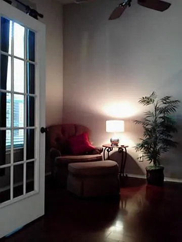 Wood-finish flooring with a high-gloss finish, white interior French door with grid-pane windows, and a ceiling fan