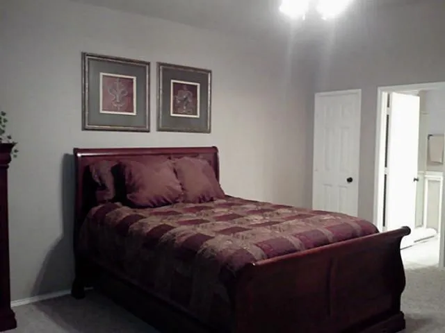 Wall-to-wall carpeting and a ceiling-mounted light fixture