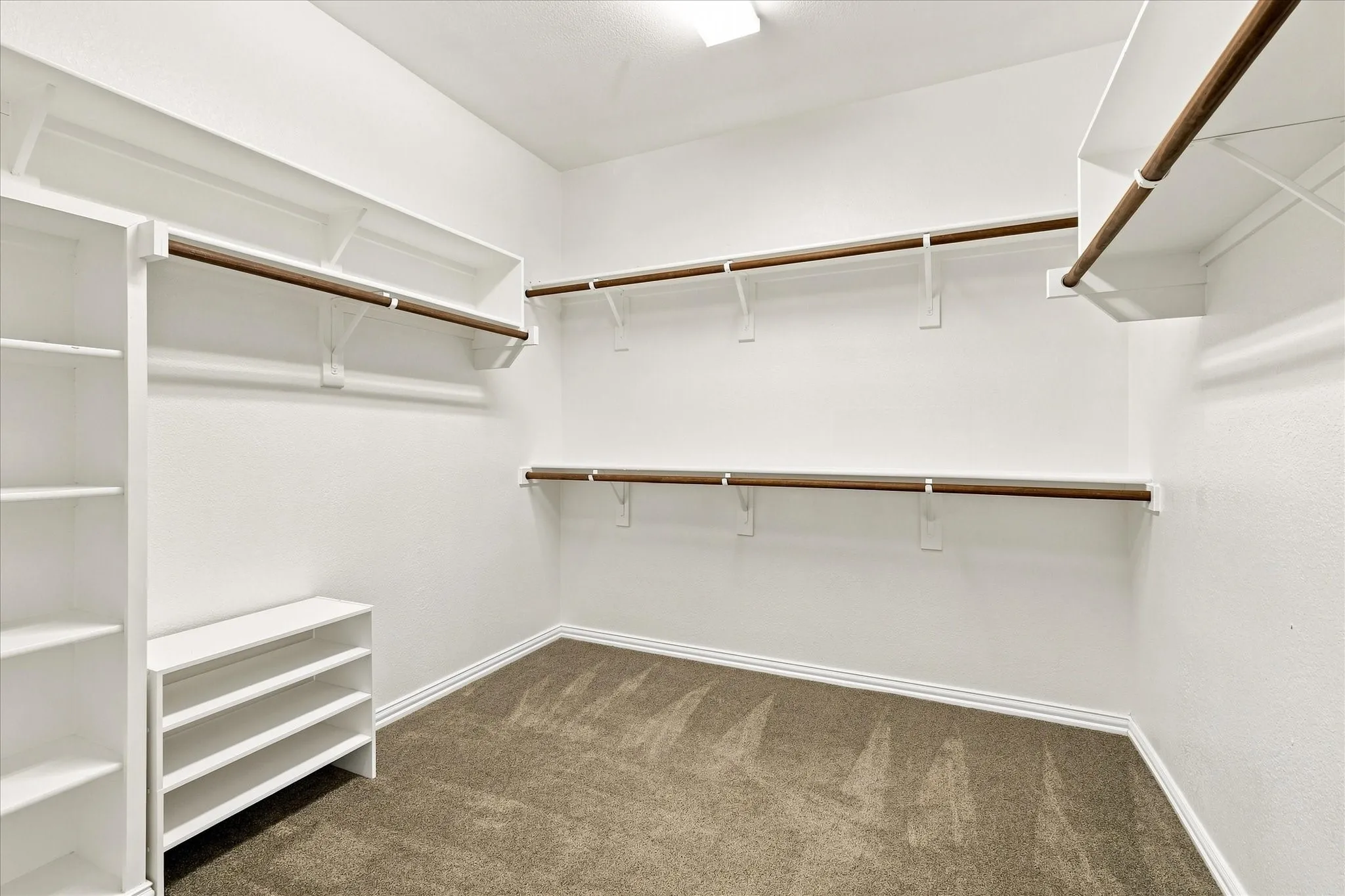 Spacious walk-in closet featuring white built-in shelving, multiple hanging rods, and carpet flooring