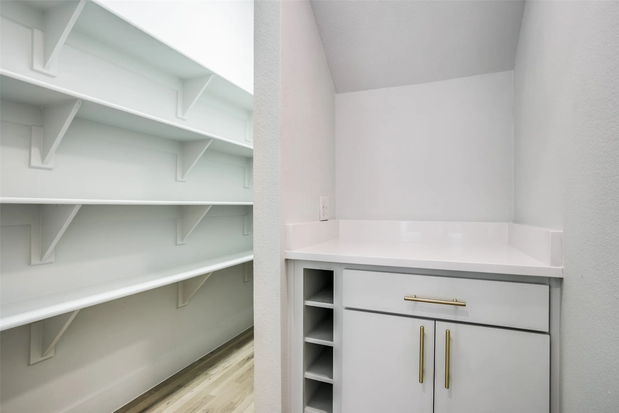 Walk in storage/pantry with dry bar. Perfect for beverage station.