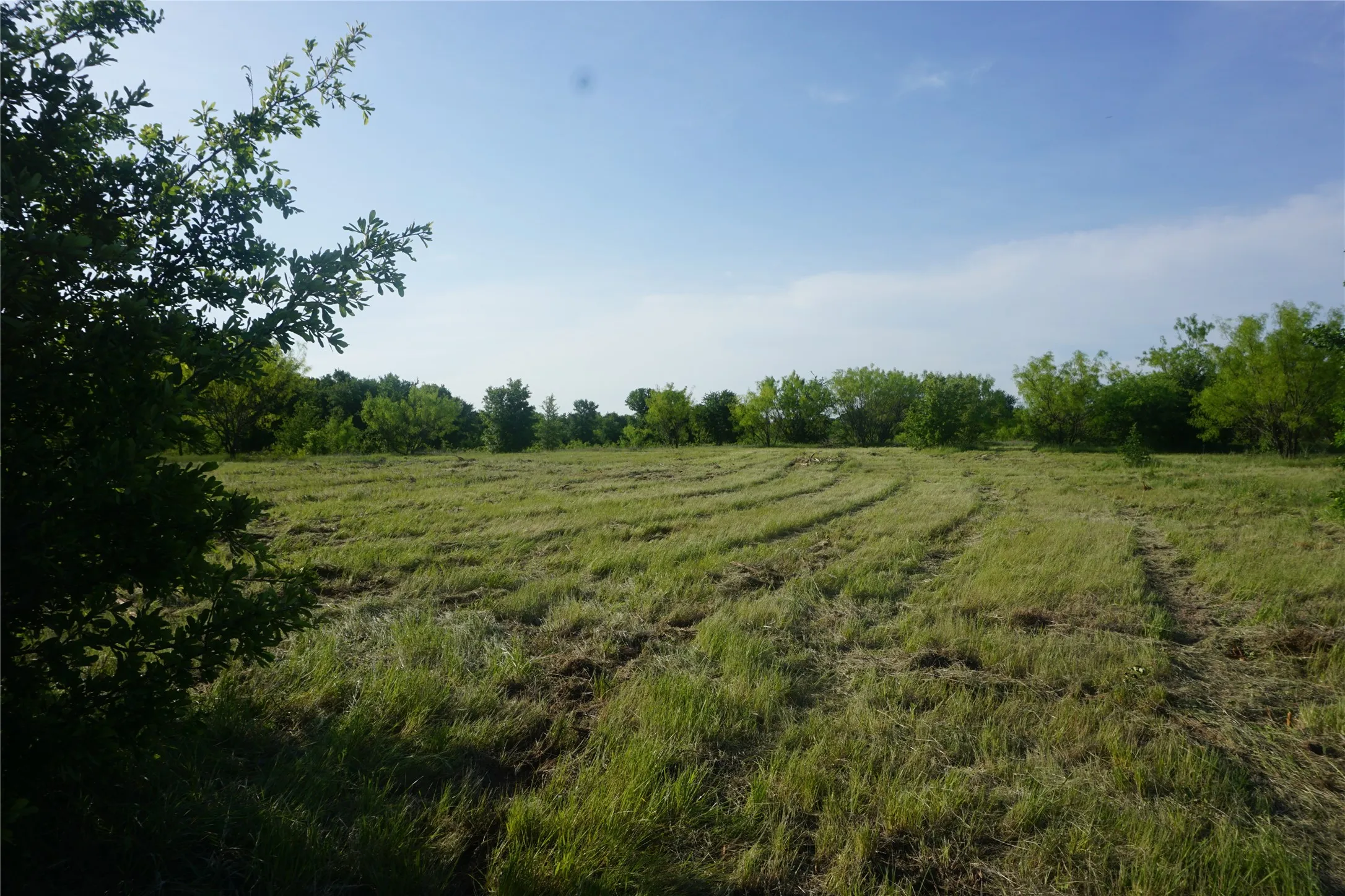 Unimproved Land For Sale in Palo Pinto County , Lot 19 N Bobwhite Court, Possum Kingdom Lake, Texas 76449, 0, 0, Garage spaces, 0 Sqft, built in 0, mls#21367876, Real Estate Agent in Possum Kingdom Lake, Homes For Sale in Palo Pinto county, Homes For Sale in Possum Kingdom Lake, Realtor in Possum Kingdom Lake Texas, Real Estate Brokerage Independent Realty Texas, Luminita Cordes Realtor