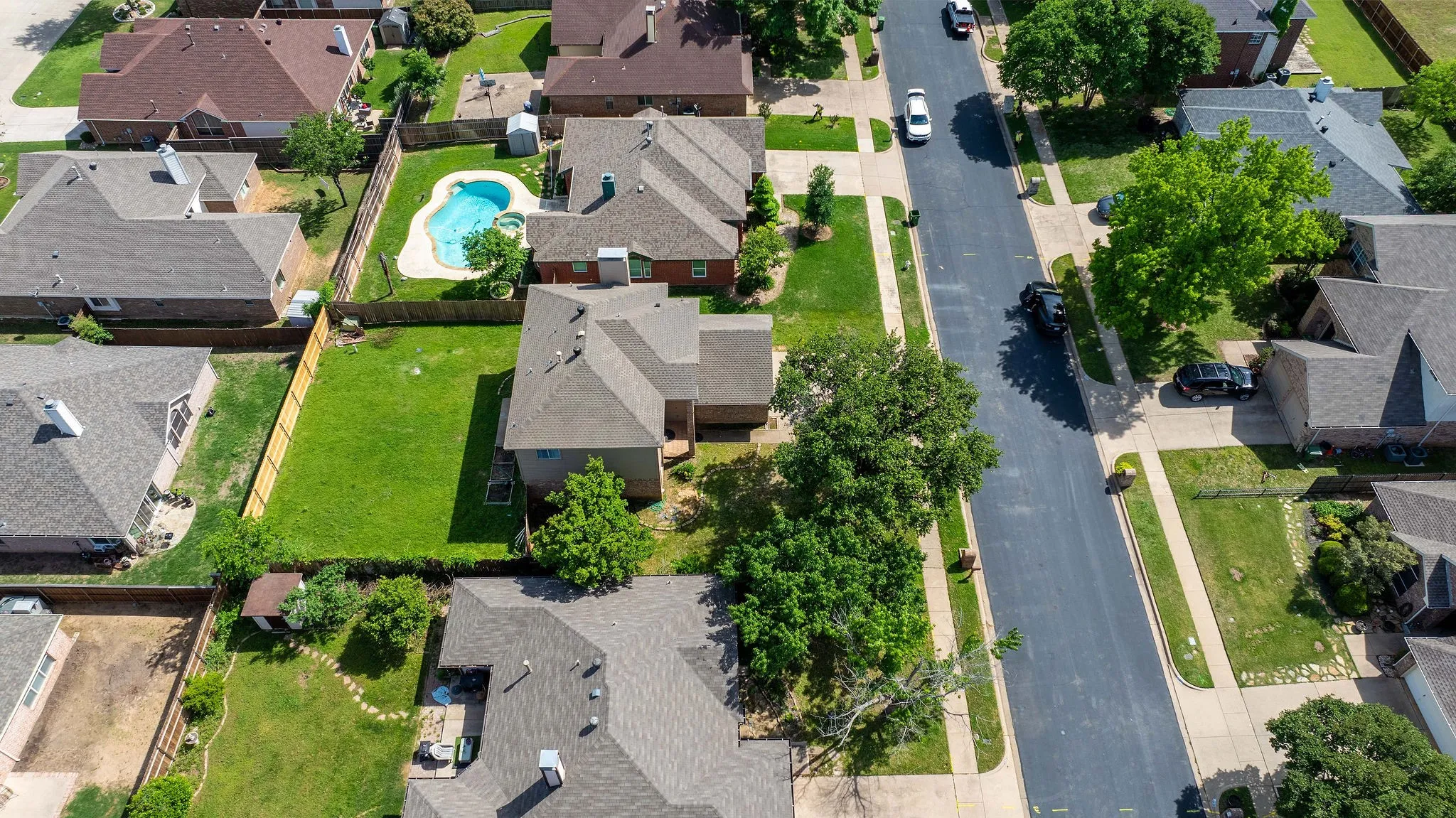 View of bird's eye view