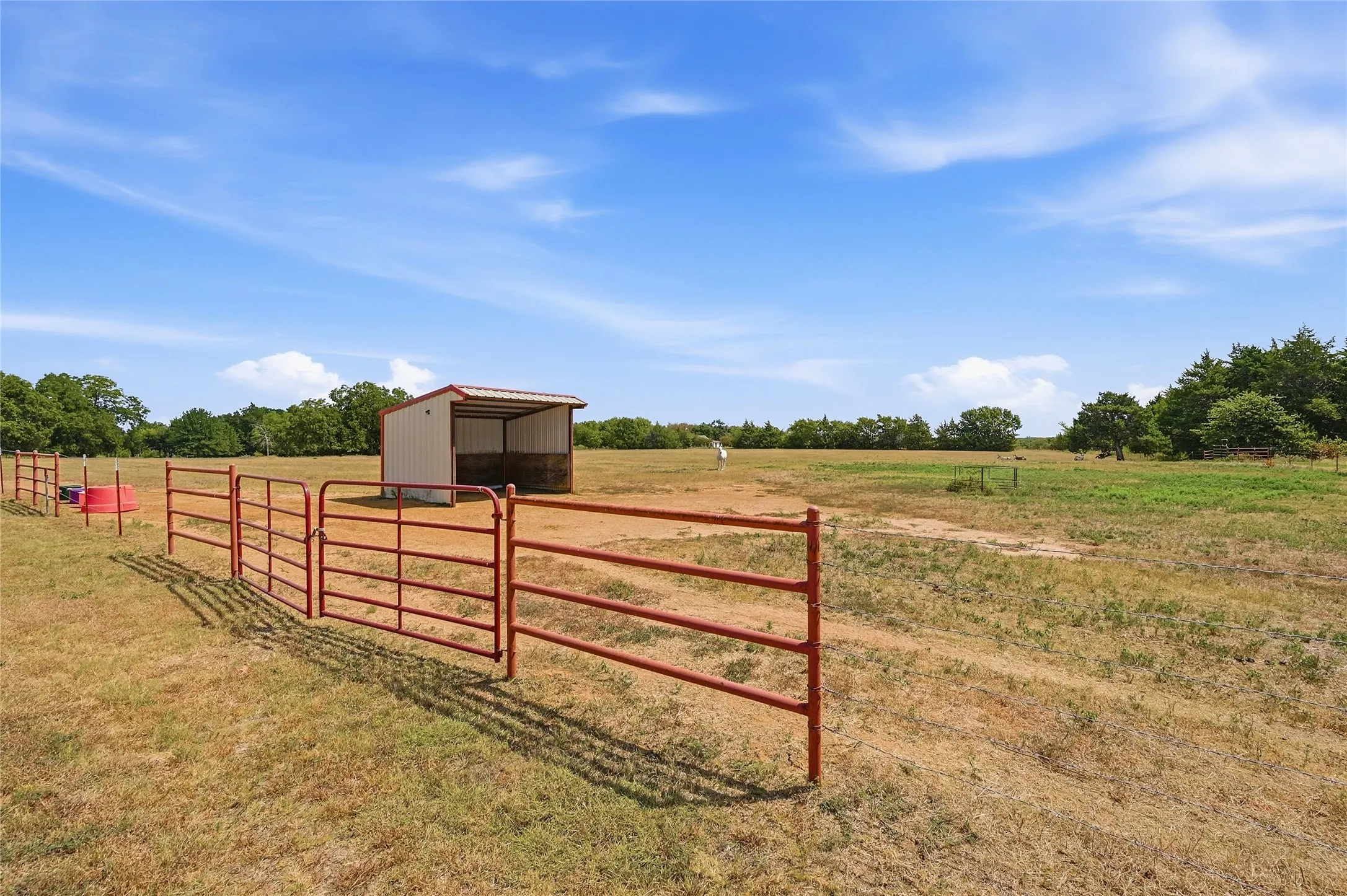 Improved Land For Sale in Grayson County , 664 Earl Road, Sadler, Texas 76264, 0, 0, Garage spaces, 0 Sqft, built in 0, mls#21375873, Real Estate Agent in Sadler, Homes For Sale in Grayson county, Homes For Sale in Sadler, Realtor in Sadler Texas, Real Estate Brokerage Independent Realty Texas, Luminita Cordes Realtor